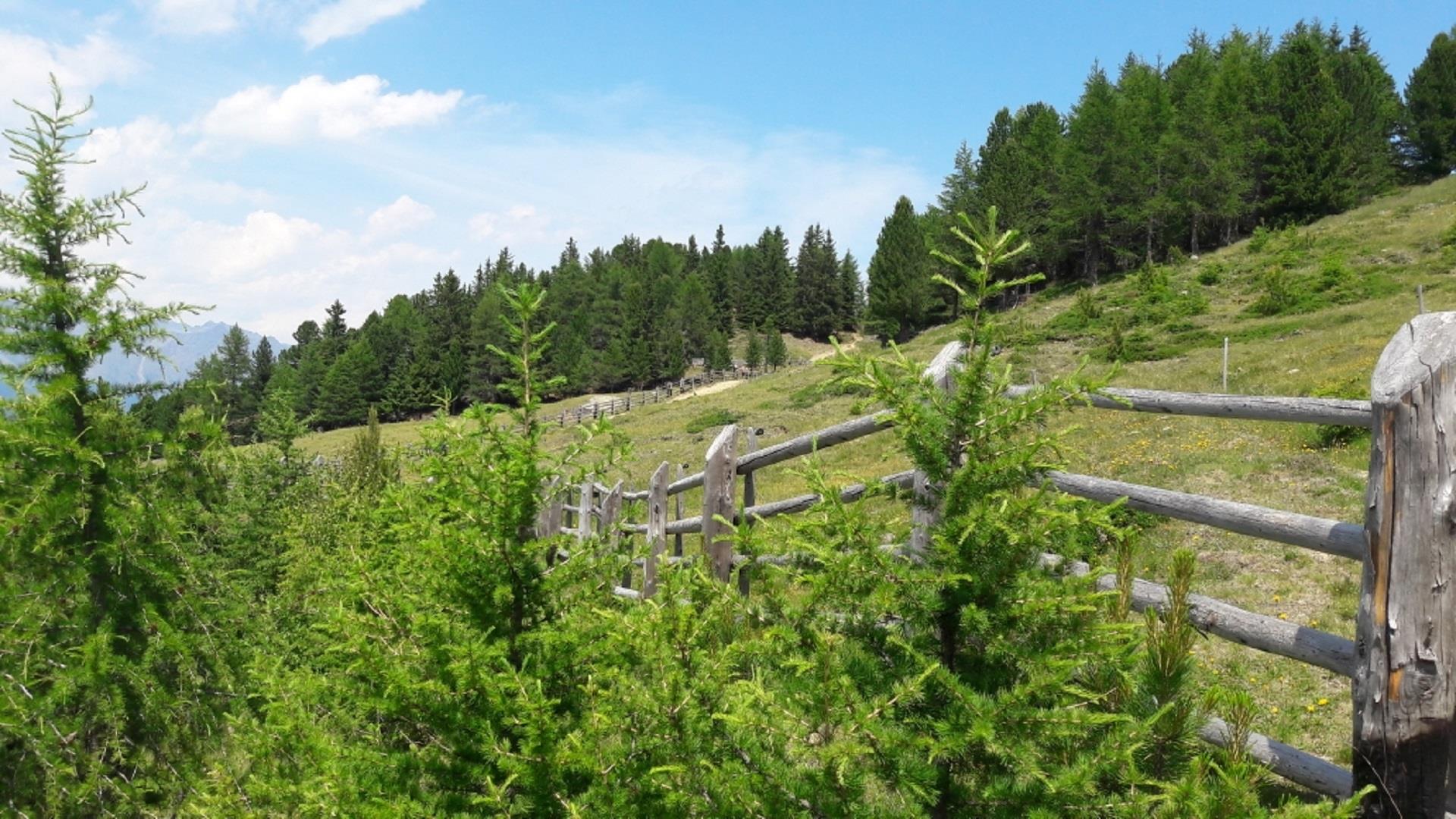 Huts tour to Naturns Naturns/Naturno 1 suedtirol.info