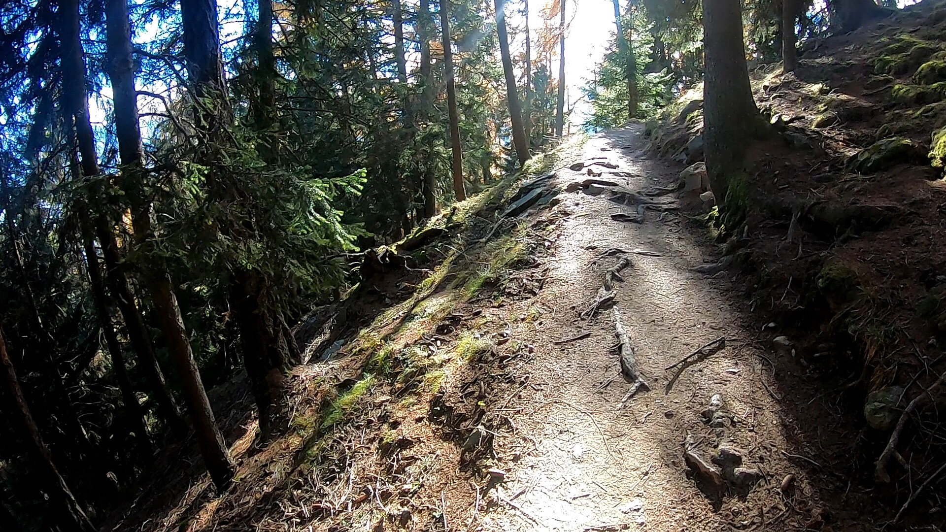 Auf dem Meraner Höhenweg West zu den Höfen am Partschinser Sonnenberg