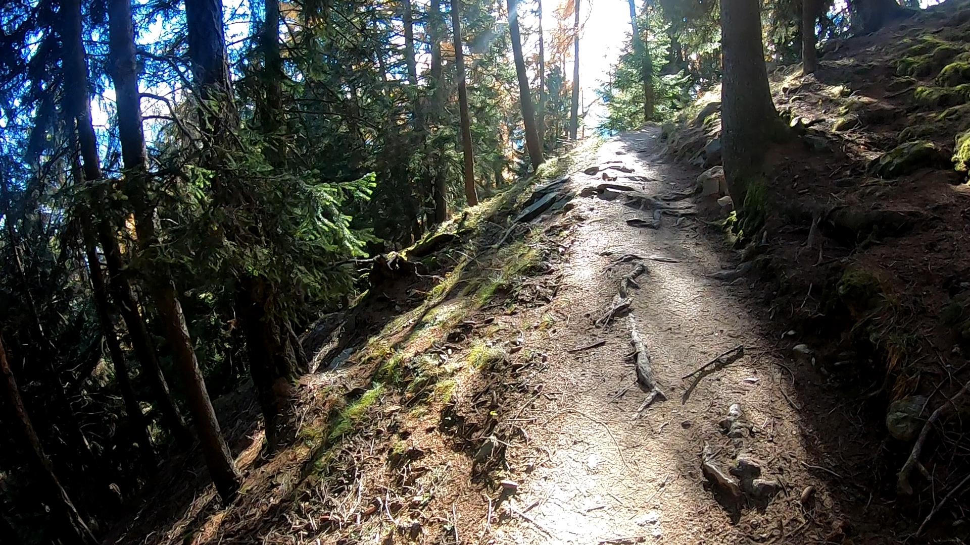 On the Merano High Mountain Trail to the historic historic mountain farms of the Partschins Sonnenberg Partschins/Parcines 10 suedtirol.info
