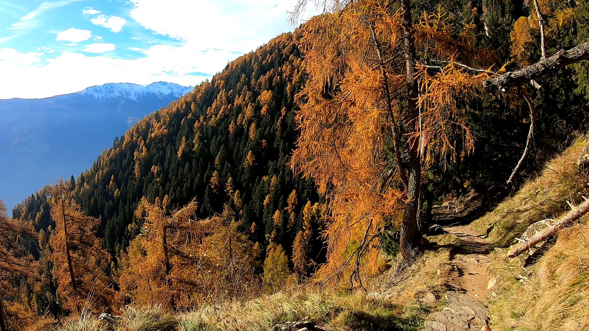 Auf dem Meraner Höhenweg West zu den Höfen am Partschinser Sonnenberg