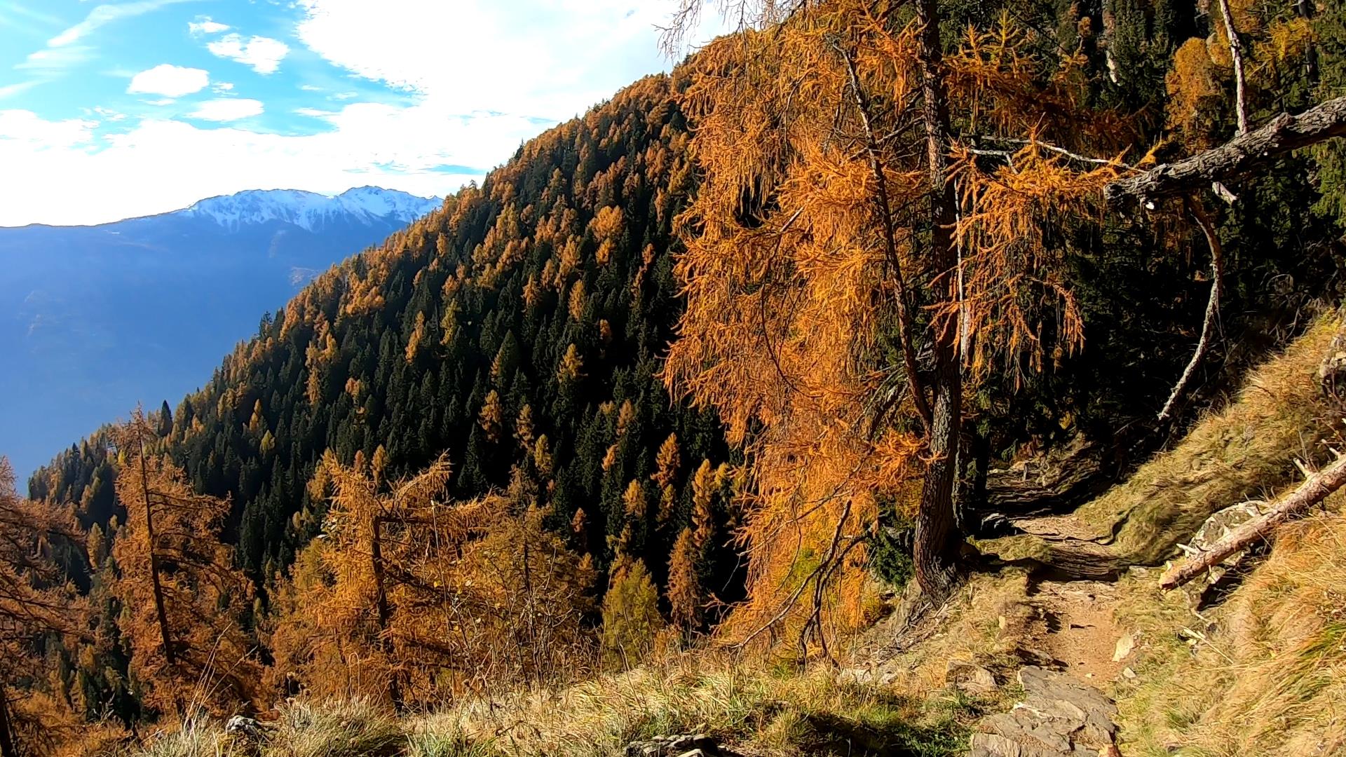 On the Merano High Mountain Trail to the historic historic mountain farms of the Partschins Sonnenberg Partschins/Parcines 6 suedtirol.info