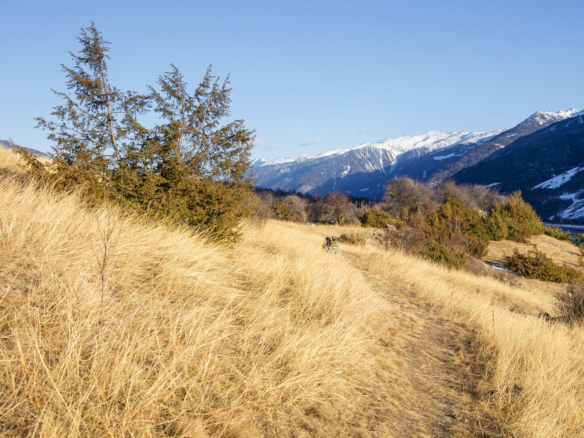 Pharmacy trail