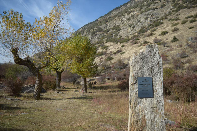 Pharmacy trail