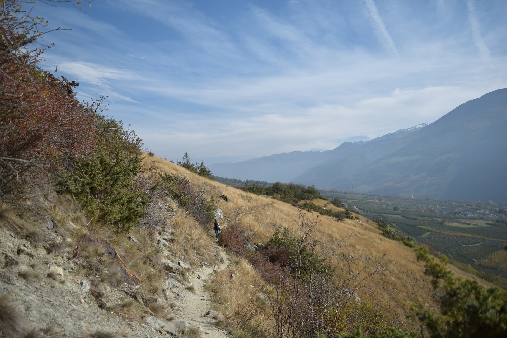 Pharmacy Trail