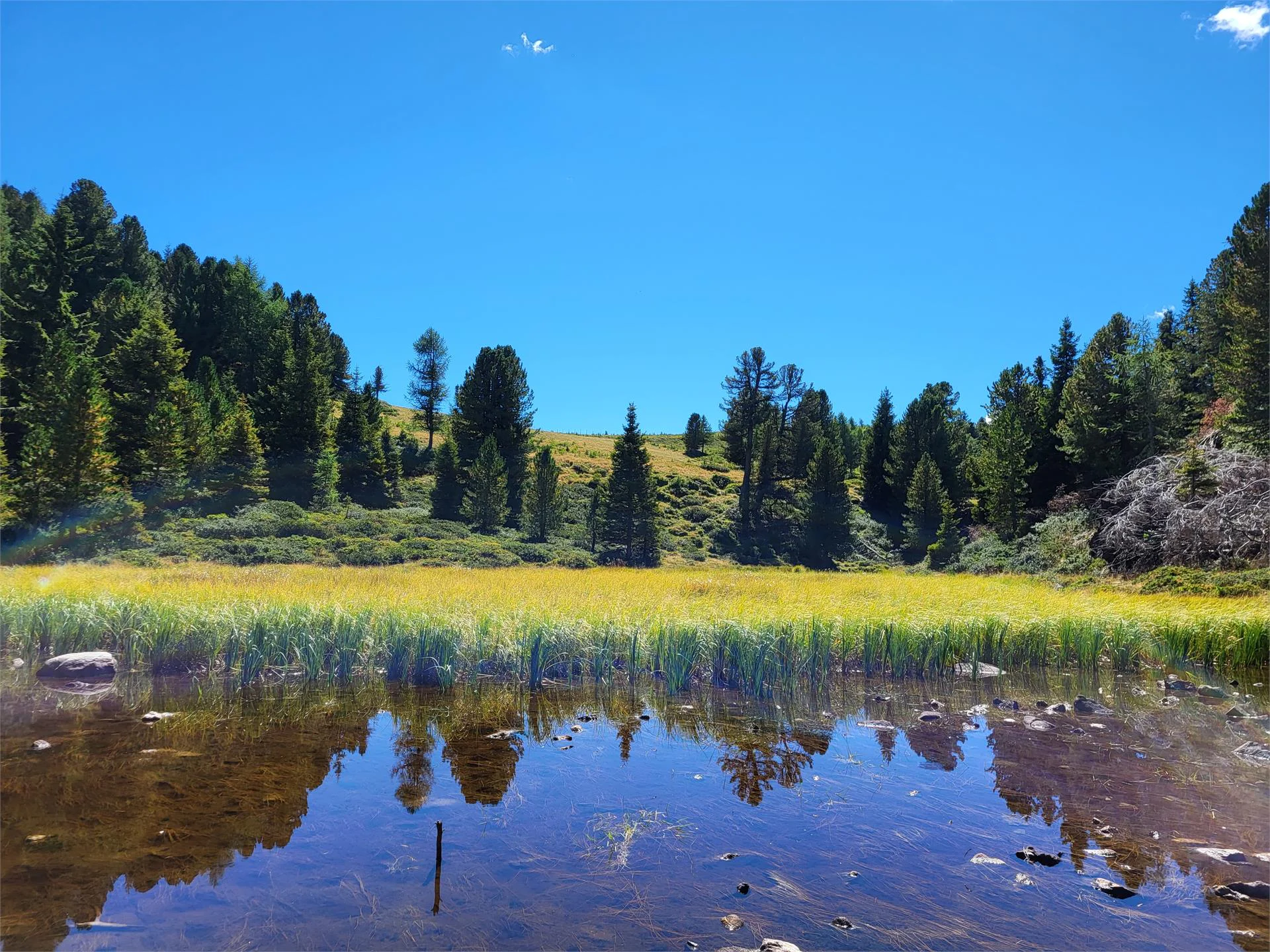 Rio Lagundo - Malga di Naturno - San Vigilio Parcines 5 suedtirol.info