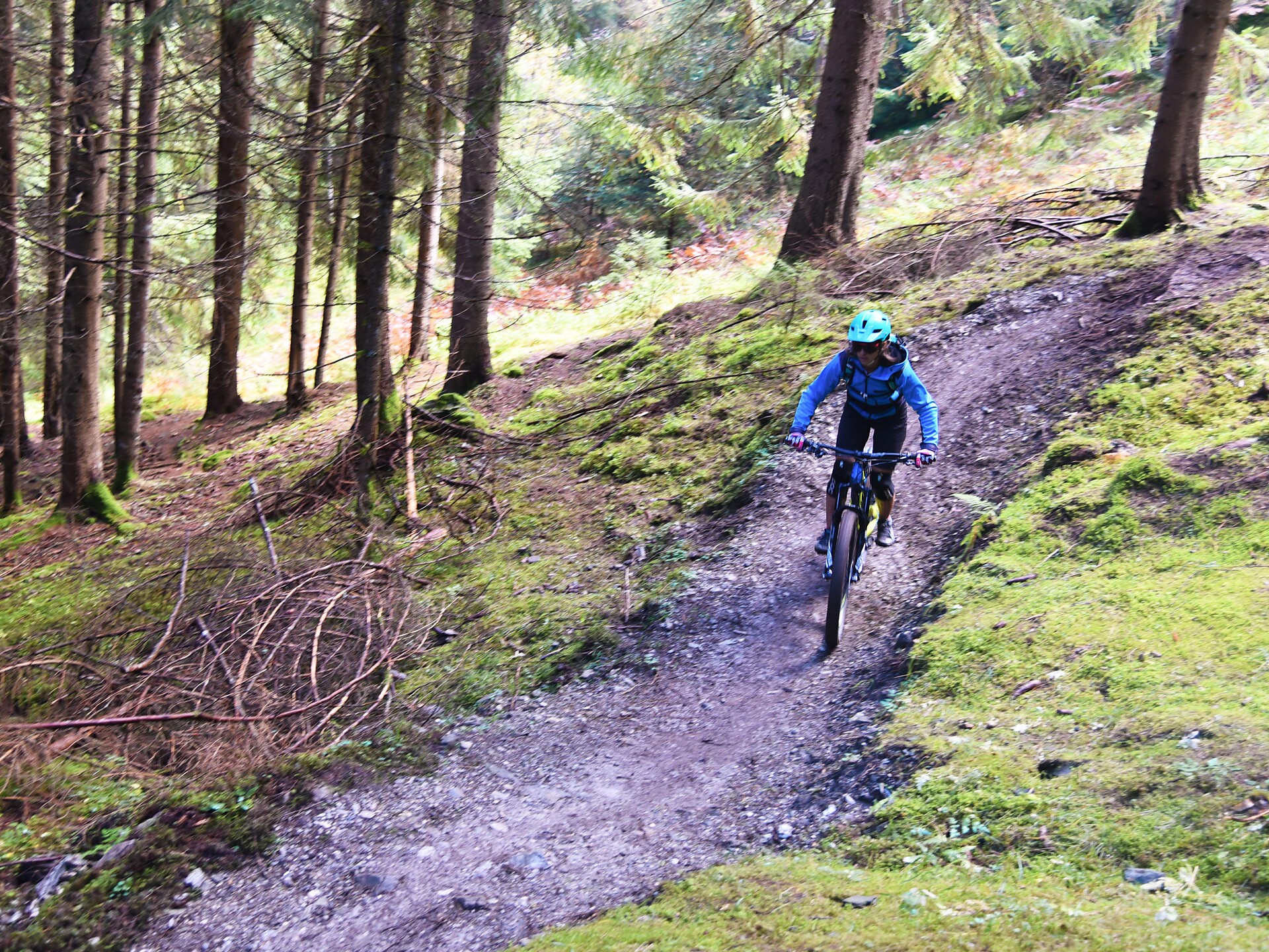 Andreas Trail