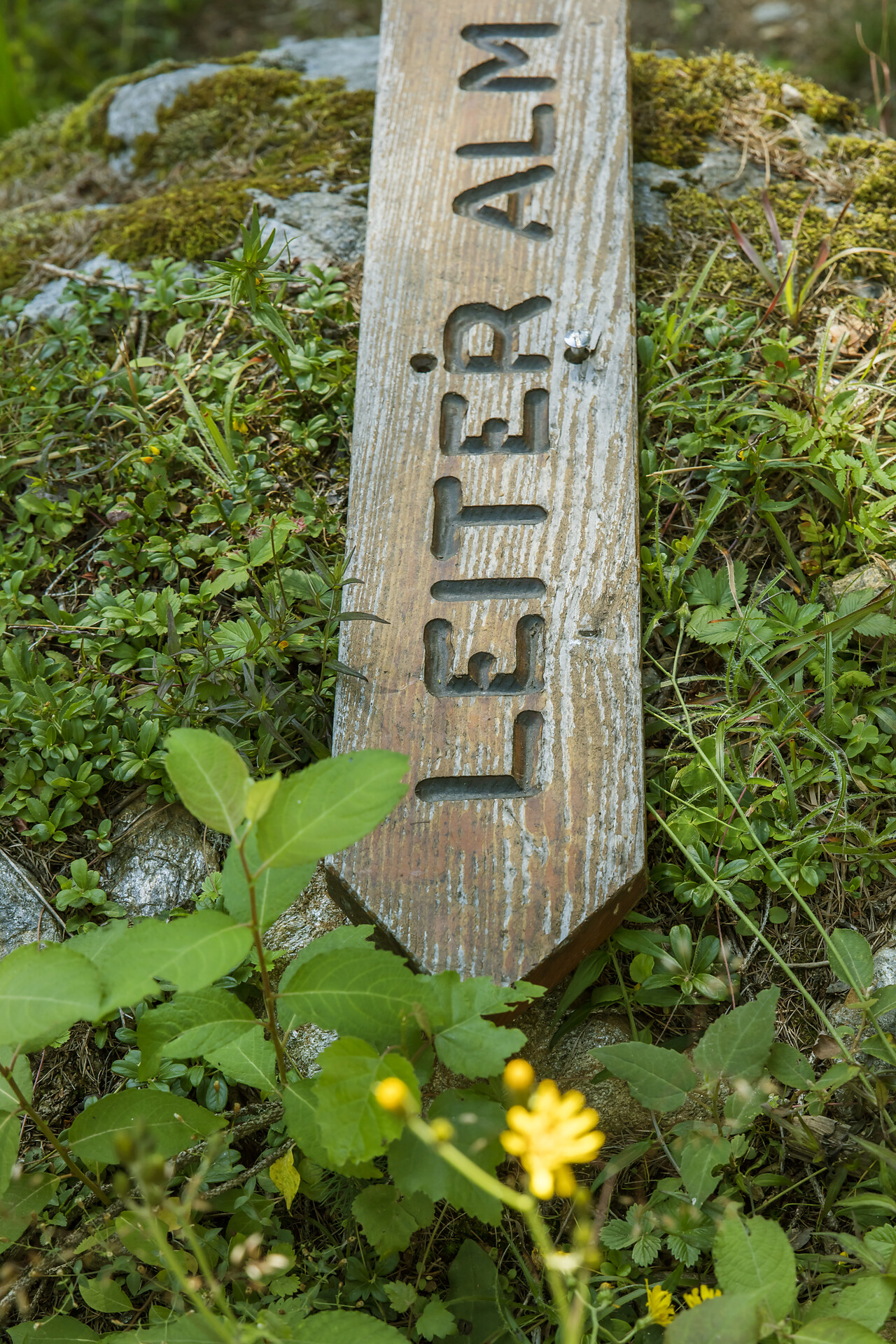 Leiter Alm