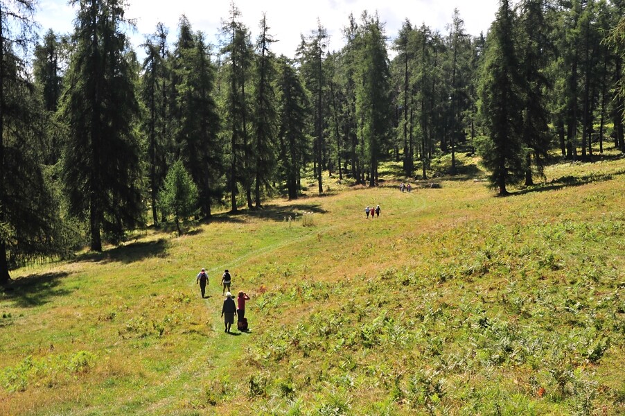 Altrei Fraulalm