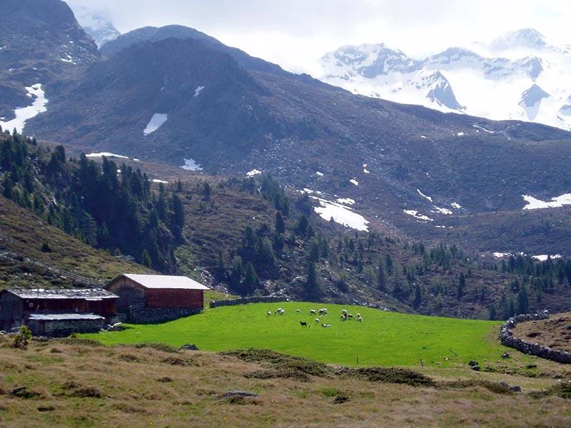 Alta via Arthur Hartdegen Campo Tures 1 suedtirol.info