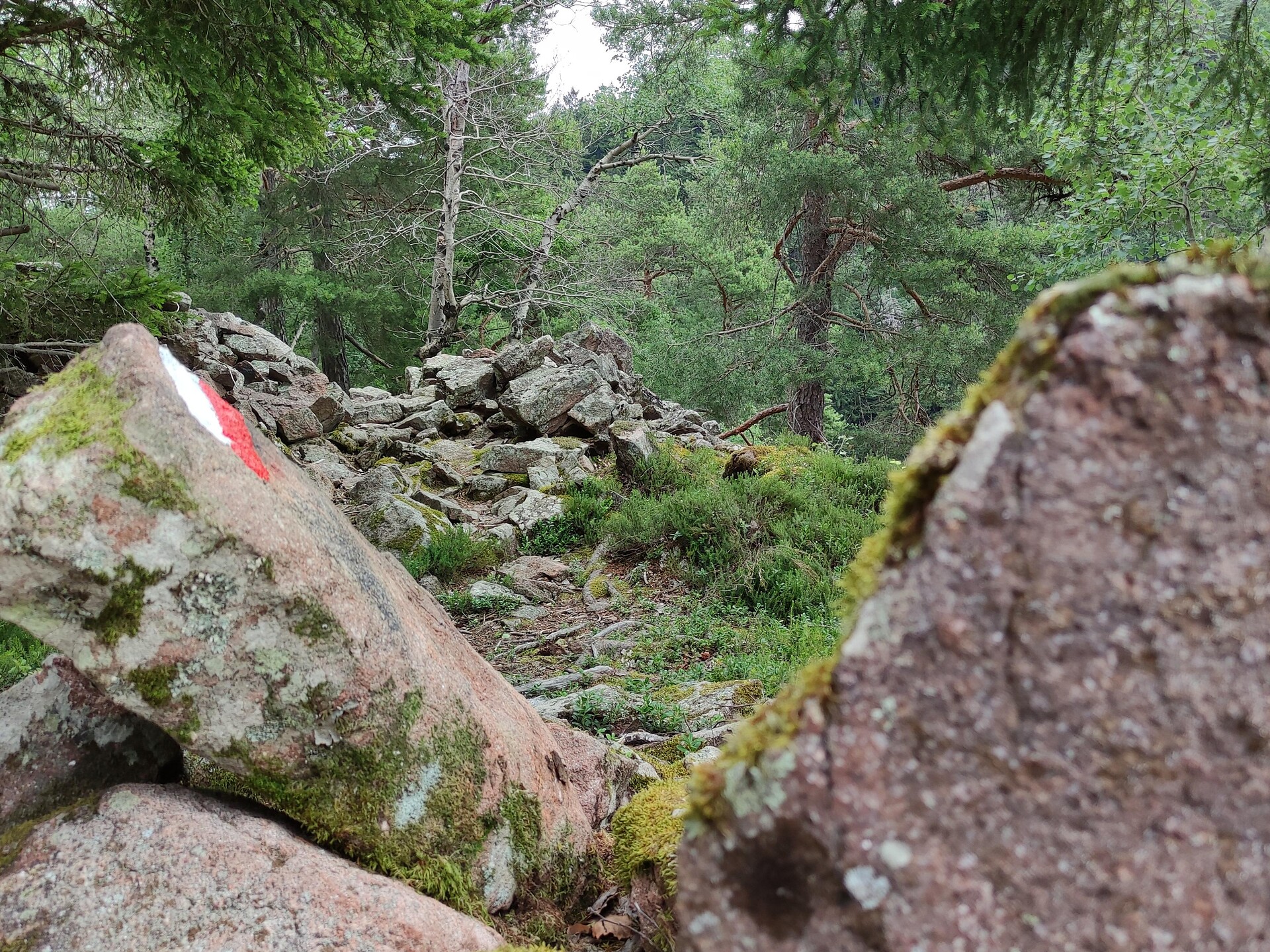 Enzbirg archeological site