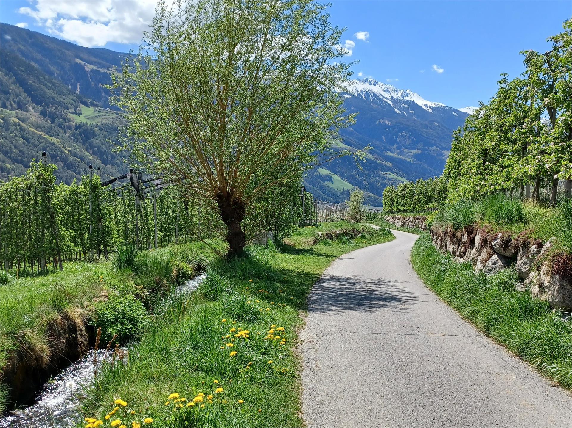 Giro delle mele Parcines 9 suedtirol.info