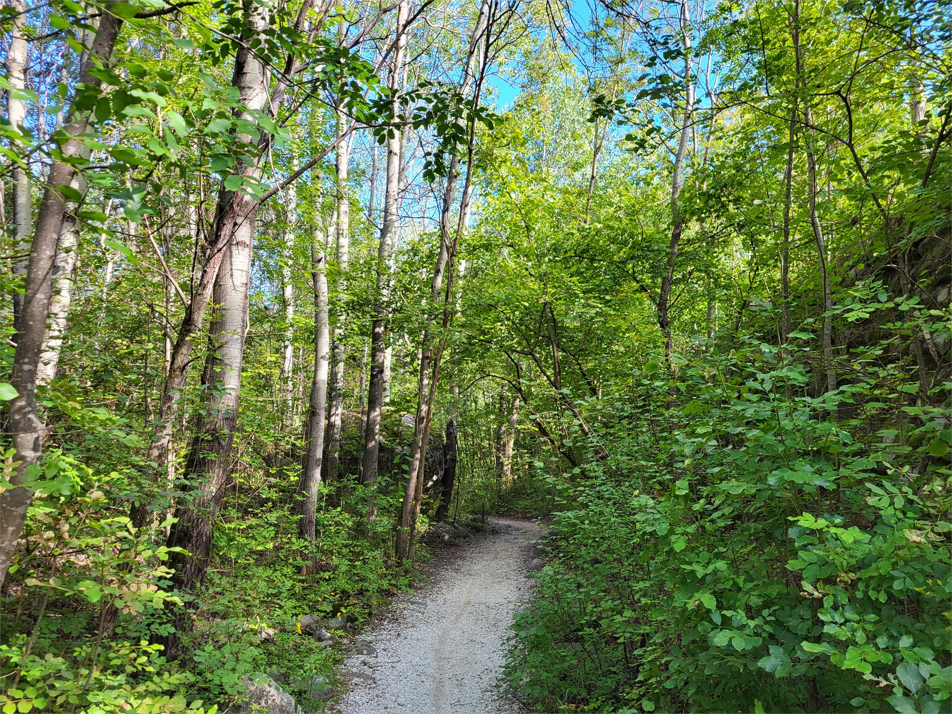 Giro delle mele Parcines 7 suedtirol.info
