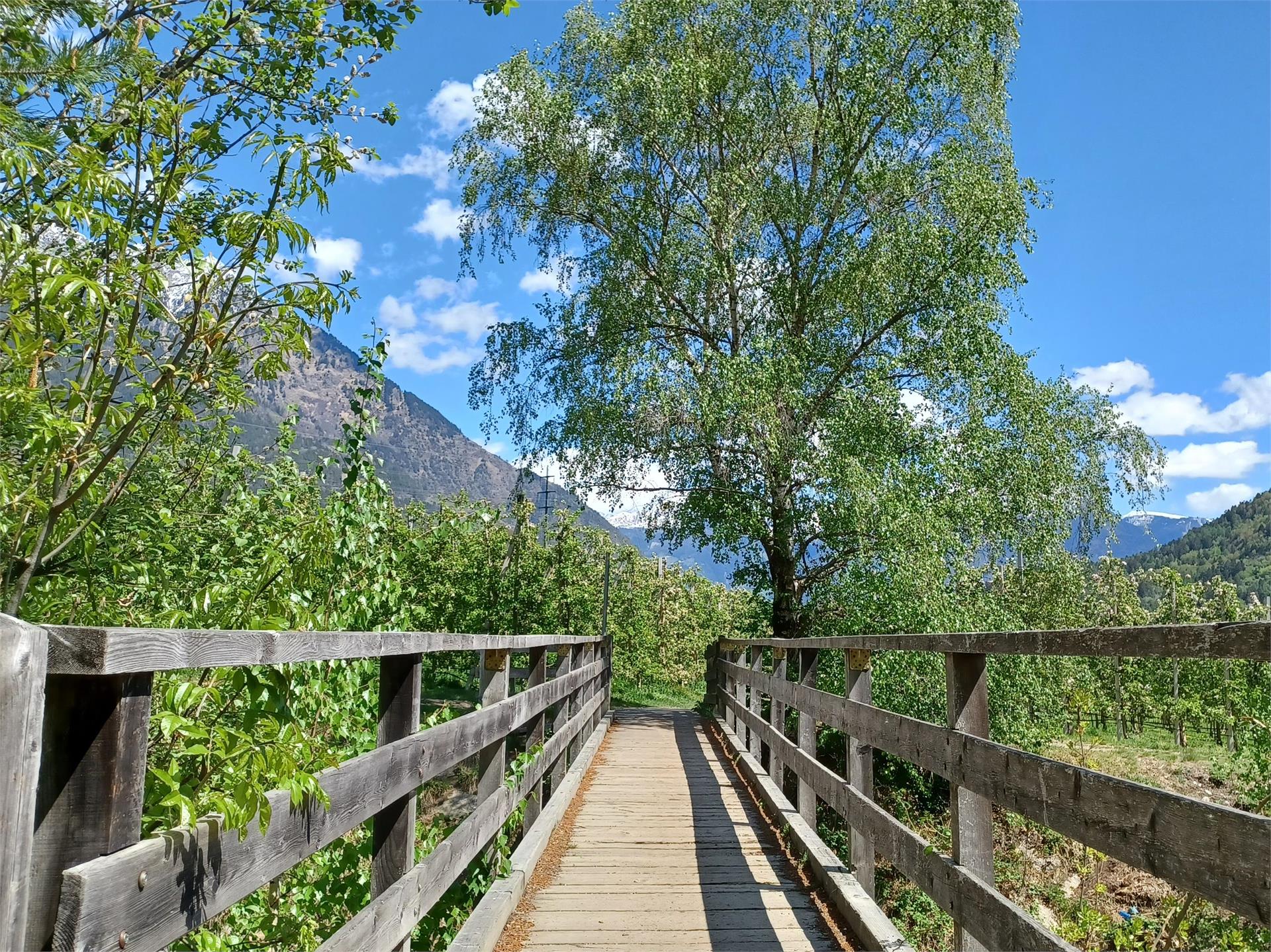 Giro delle mele Parcines 8 suedtirol.info