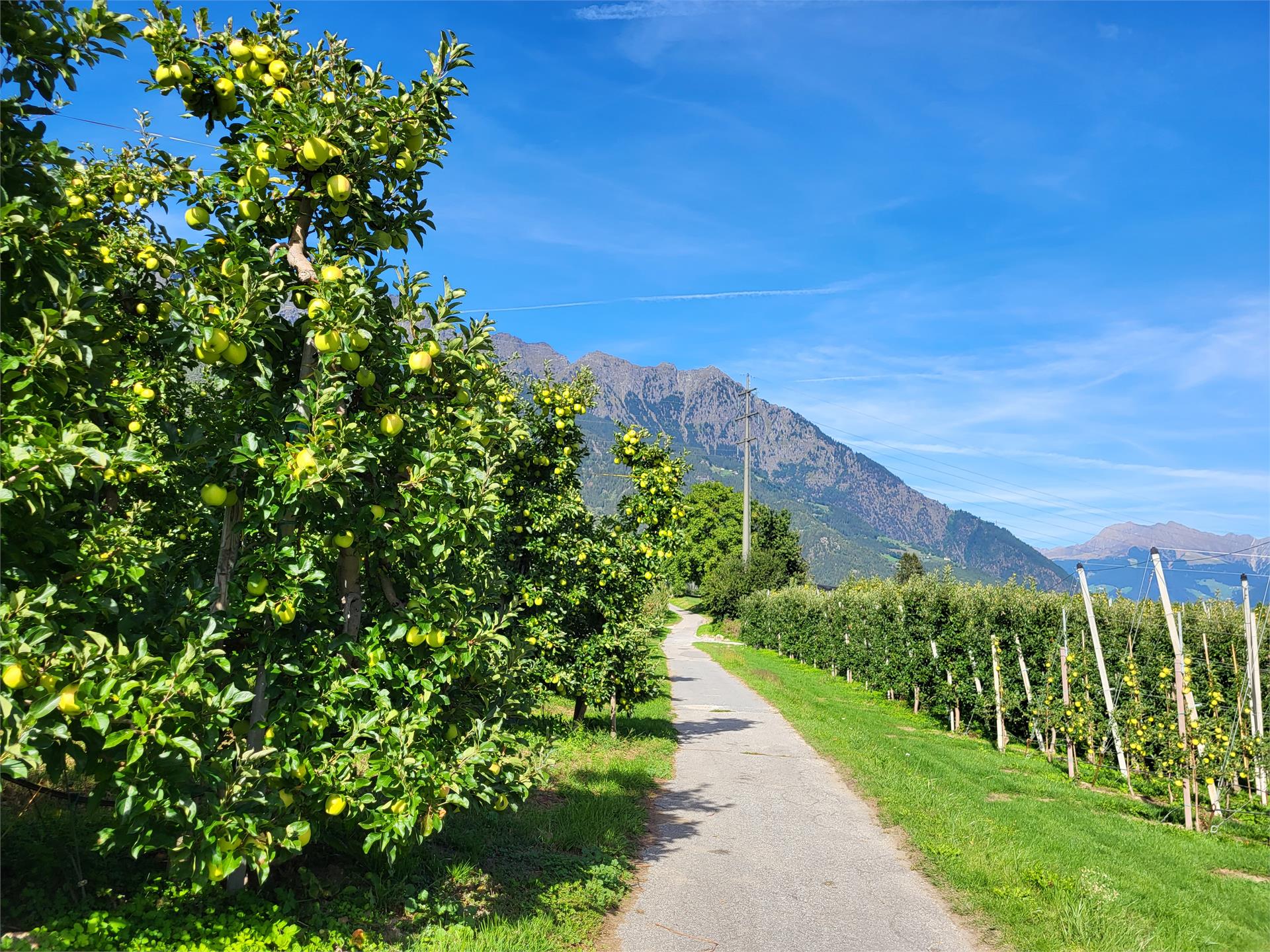 Giro delle mele Parcines 10 suedtirol.info