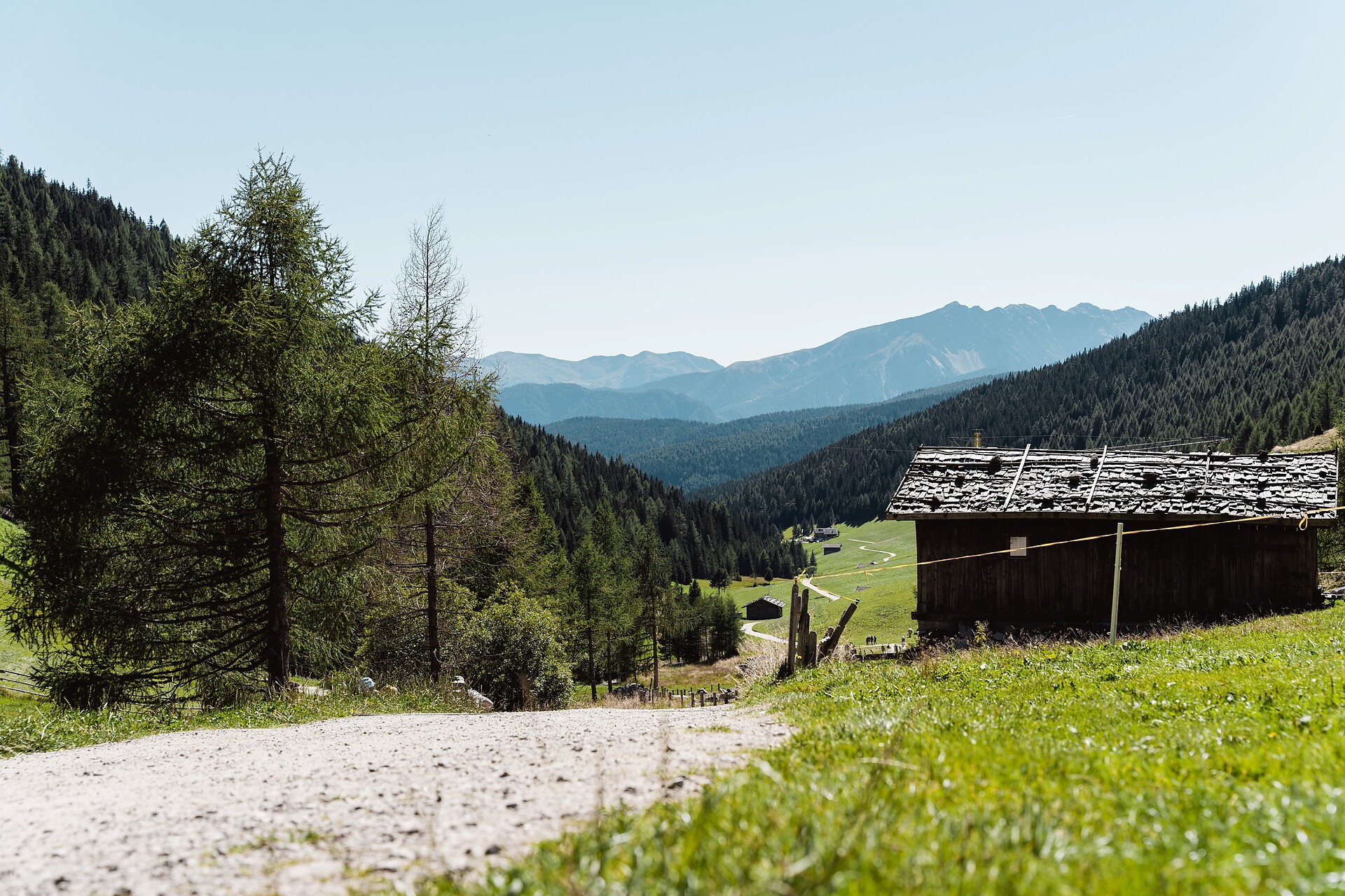 Vom Gitschberg ins Altfasstal: Panorama und Almhütten-Erlebnis - Brixen und Umgebung - #1 - suedtirol.info