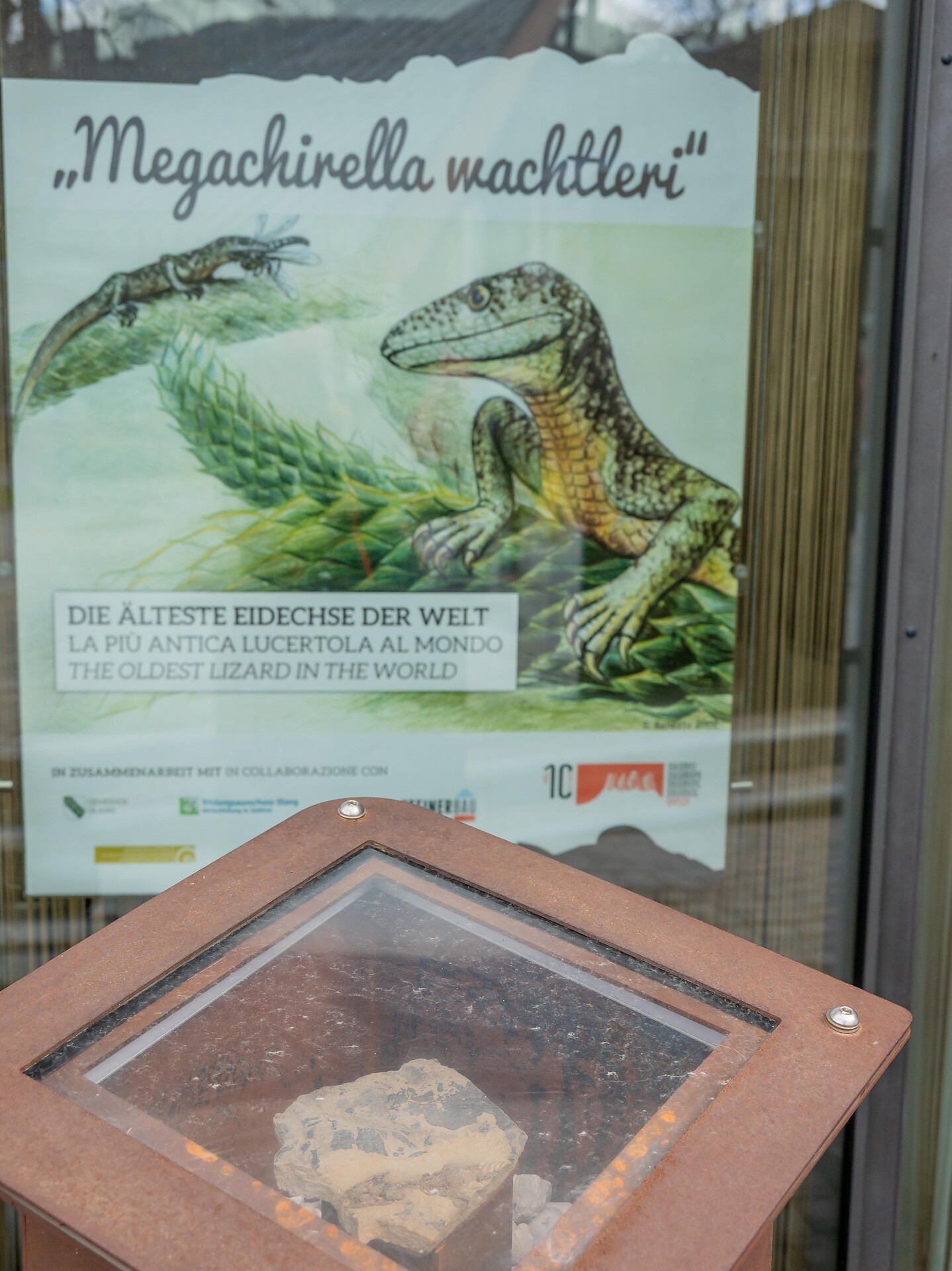 Auf den Spuren der Megachirella Wachtleri - Dolomitenregion Kronplatz - #1 - suedtirol.info