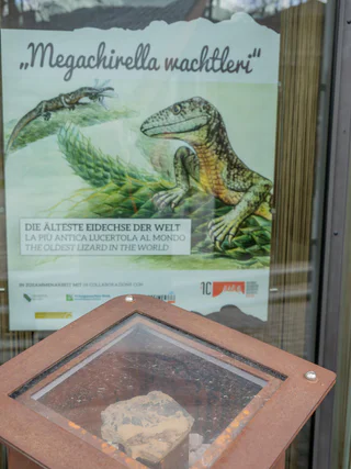 Auf den Spuren der Megachirella Wachtleri - Olang - #1 - suedtirol.info