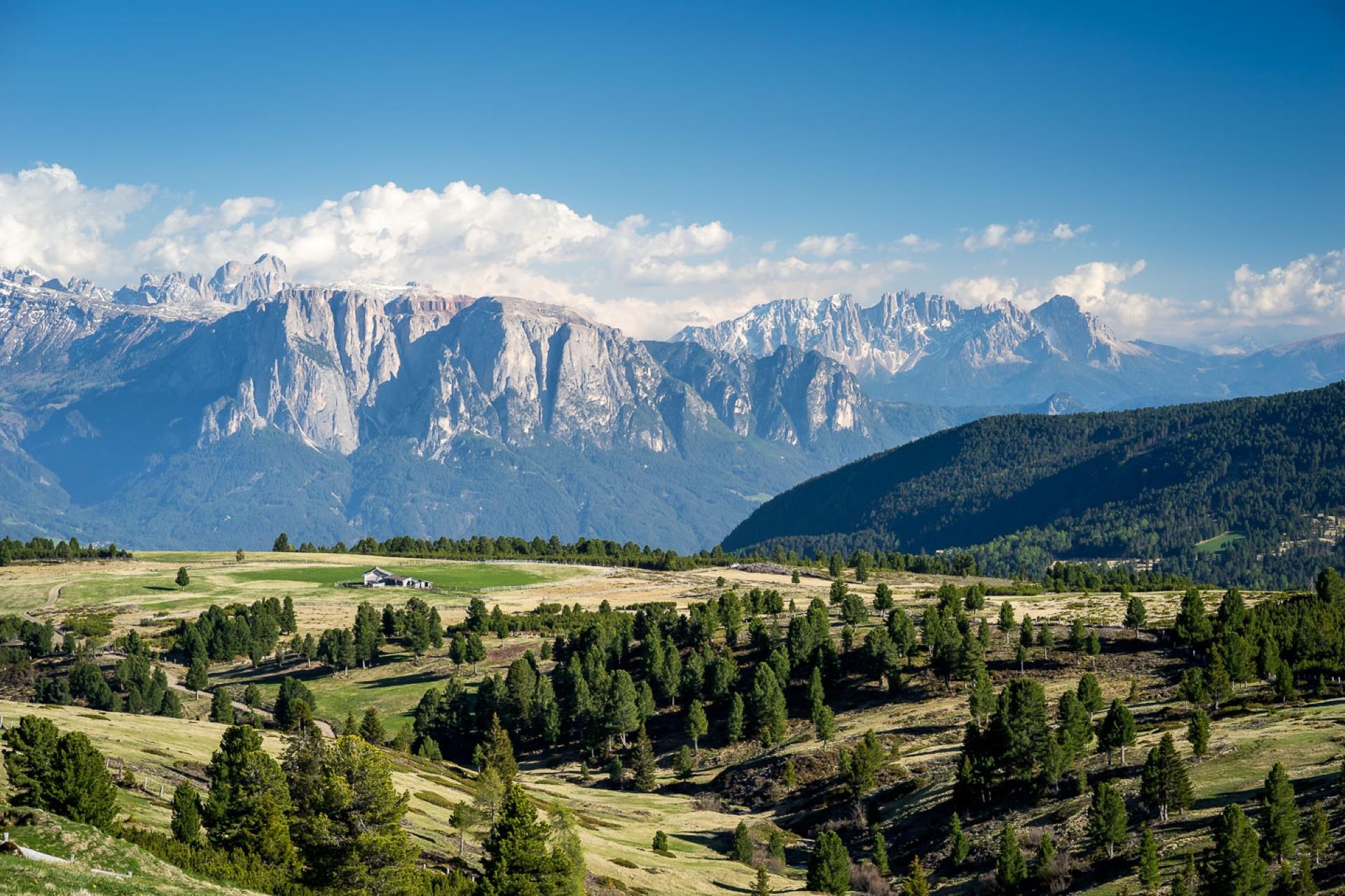 Auf der Latzfonser Alm zur Stöfflhütte Villanders 1 suedtirol.info