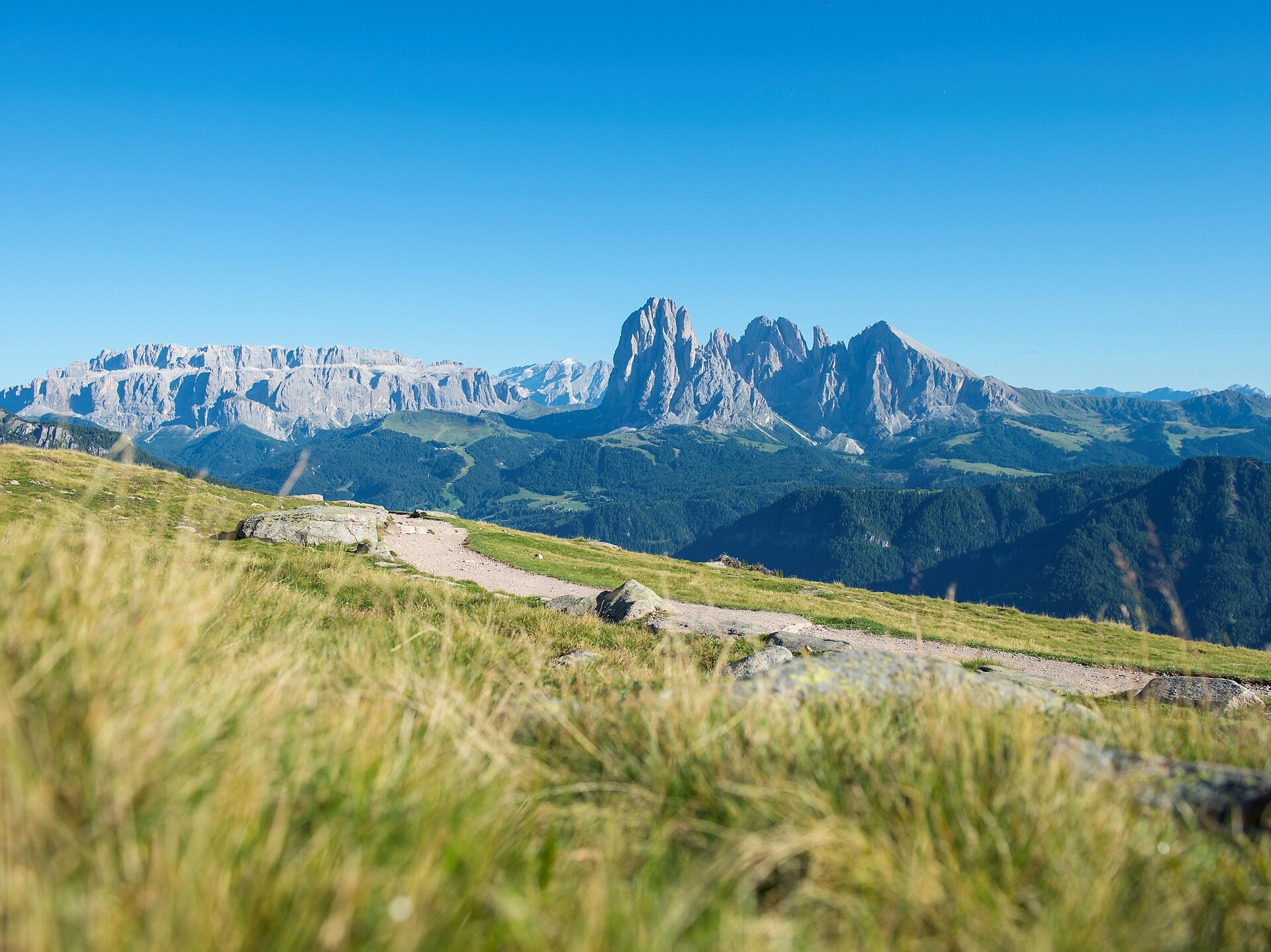 Von Raschötz nach Lajen  -  - #1 - suedtirol.info