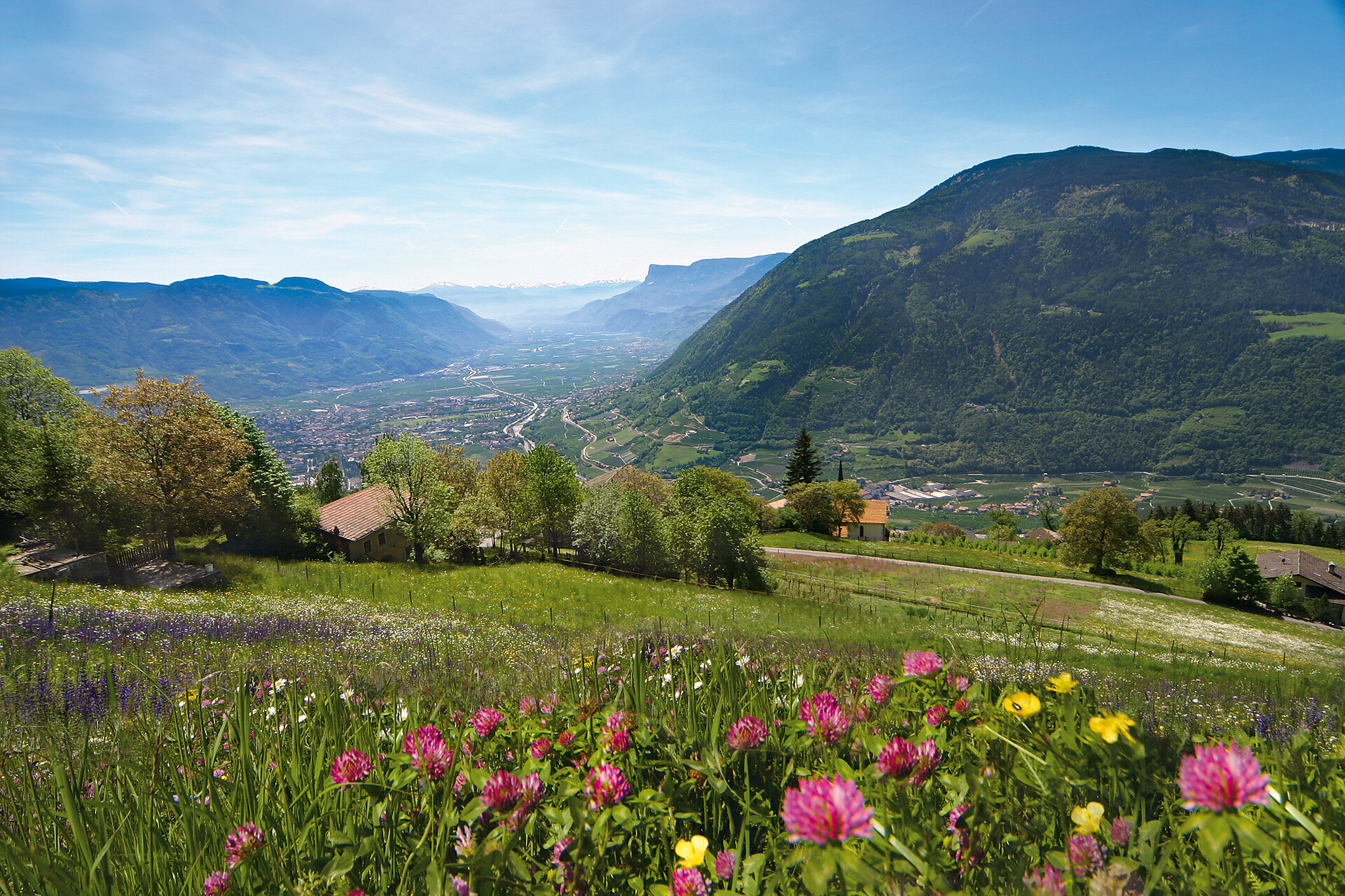 Algund - Schloss Plars - Vellau -  Birbameg - Lagundo Algund/Lagundo 1 suedtirol.info