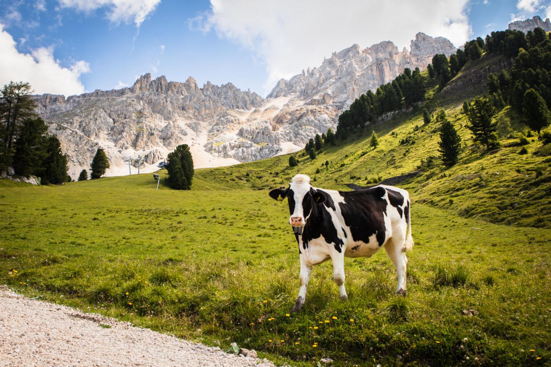 LATEMAR.ADVENTURE: The Secret of the Venetian Deutschnofen/Nova Ponente 2 suedtirol.info