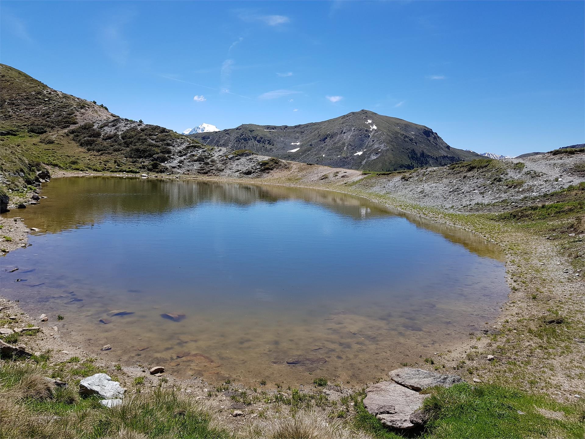Summit hike on Monterodes Mals/Malles 3 suedtirol.info