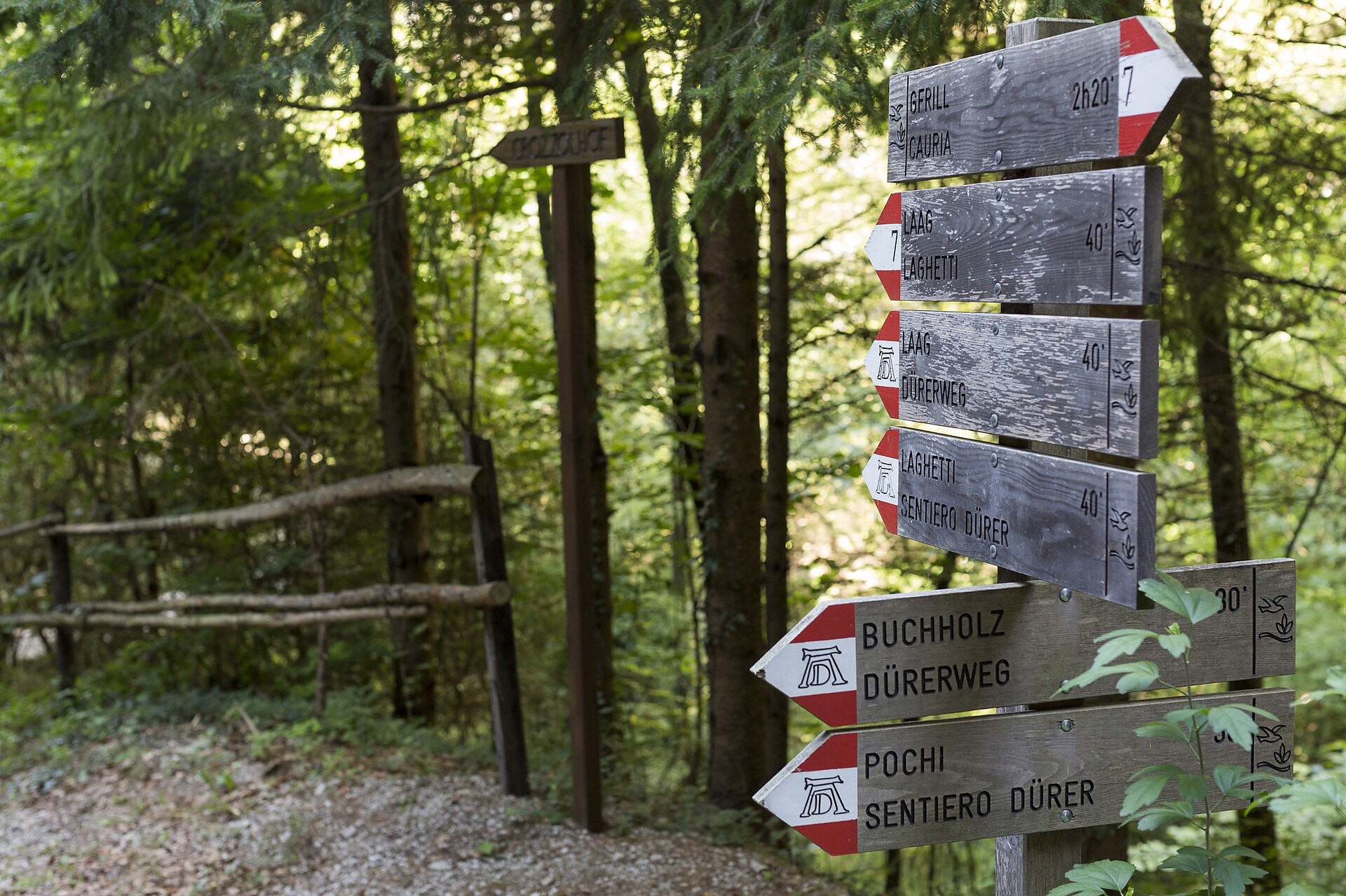 Path Dürer