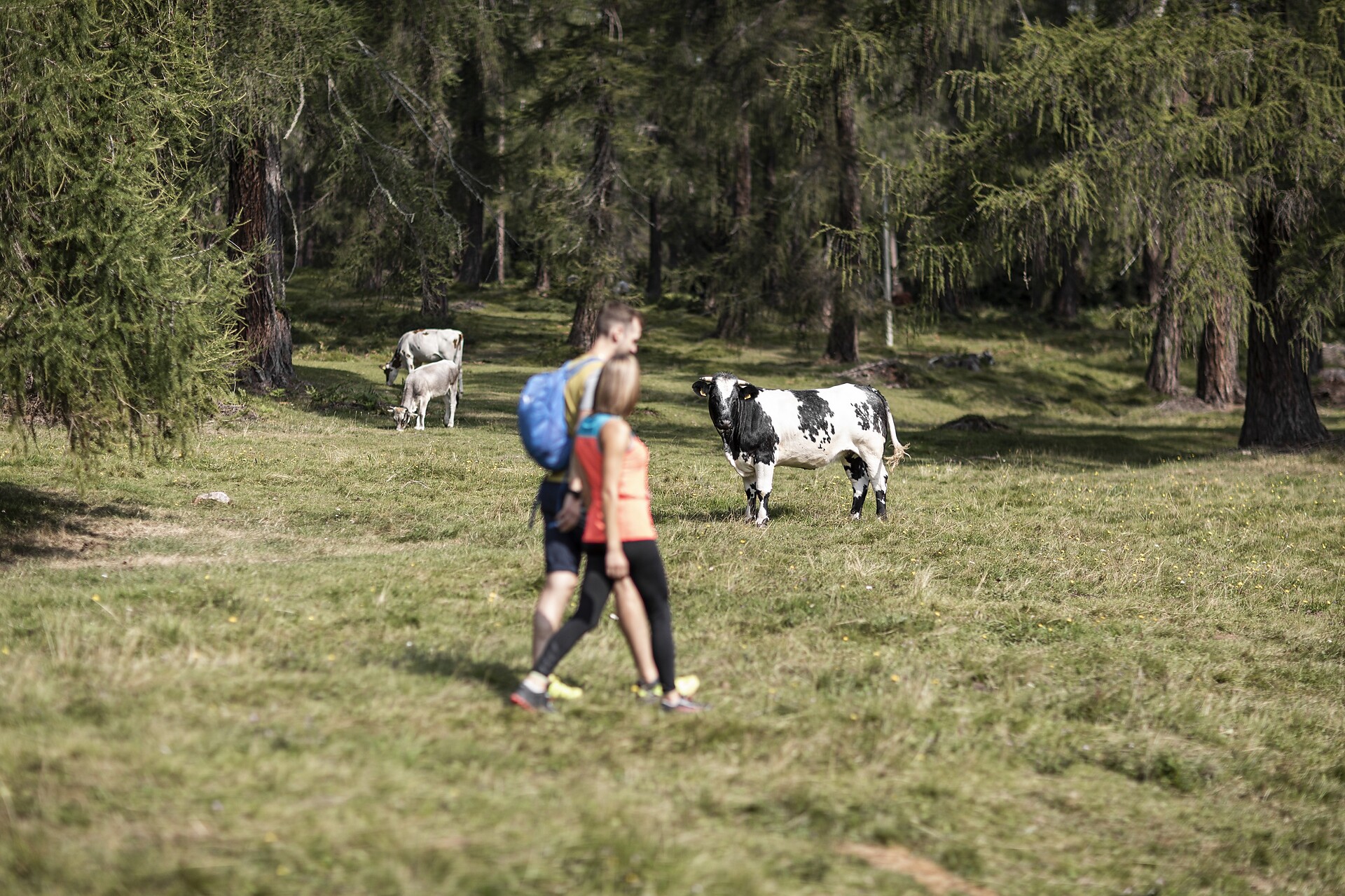 Naturpark Trudner Horn