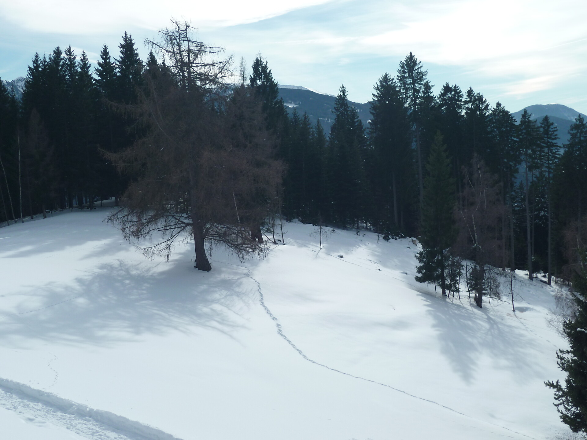 View from the Malga Corno