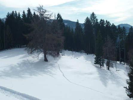 Anterivo - Malga Monte Corno in Winter Altrei/Anterivo 2 suedtirol.info