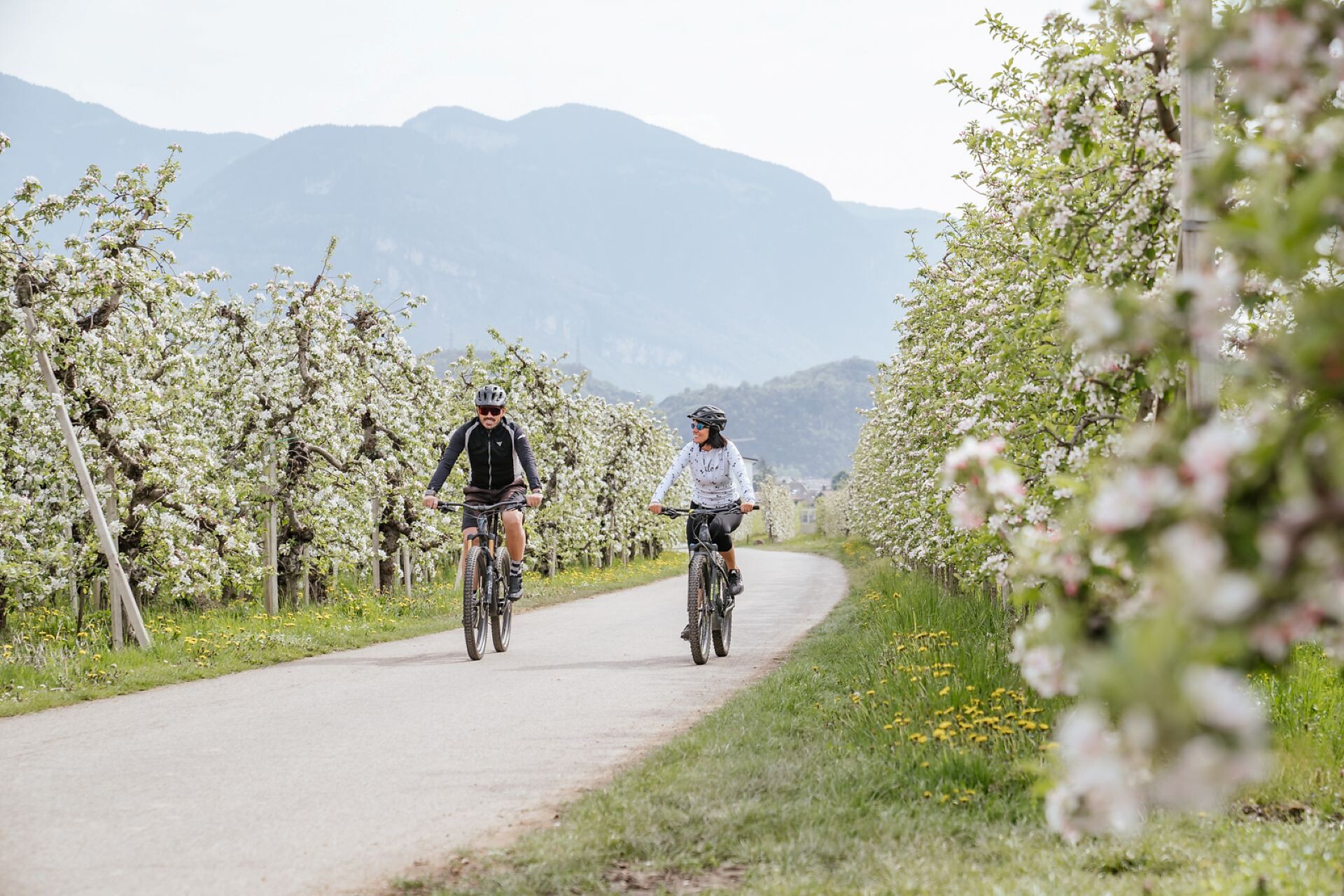 Auer - Kalterer See Runde - Südtiroler Weinstraße - #1 - suedtirol.info