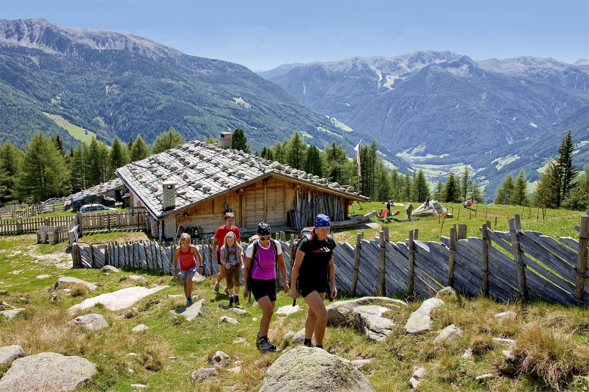 Sentiero del Sole Valle Aurina - Sunnsat Predoi 2 suedtirol.info