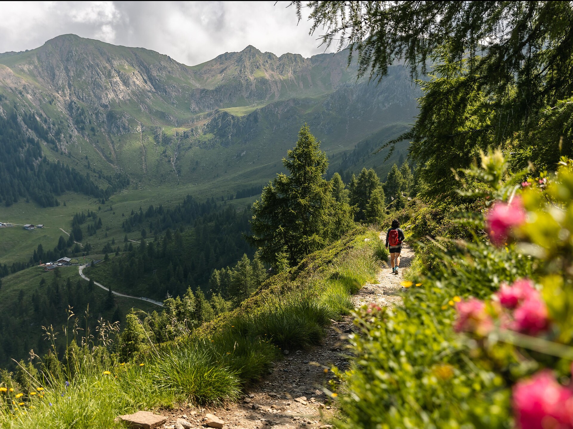 Auf dem Europäischen Fernwanderweg „E5“ zur Hintereggalm Schenna 2 suedtirol.info