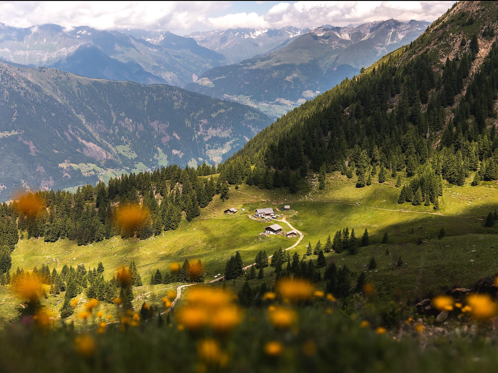 Auf dem Europäischen Fernwanderweg „E5“ zur Hintereggalm Schenna 3 suedtirol.info