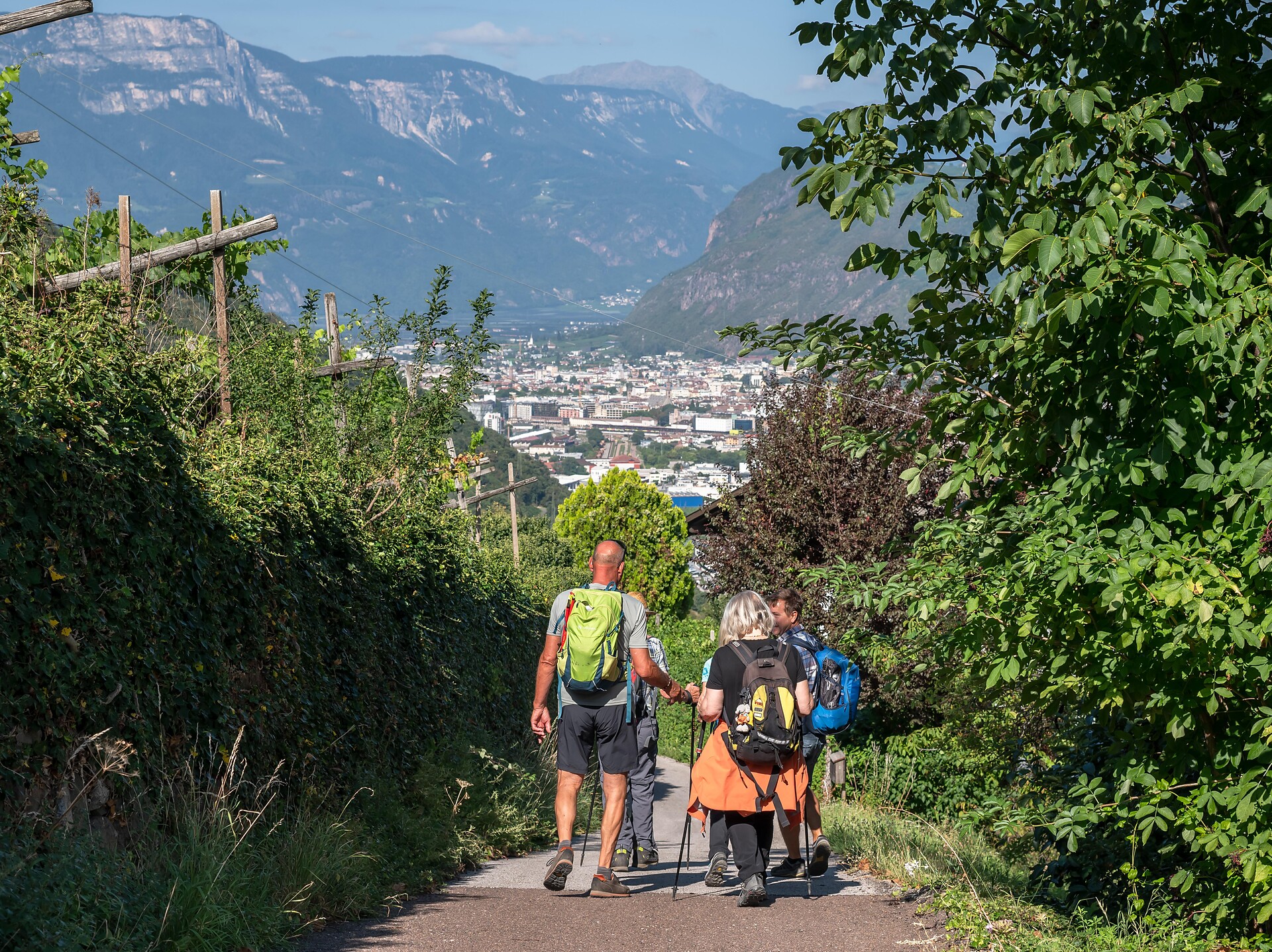 Direzione Cardano e Bolzano