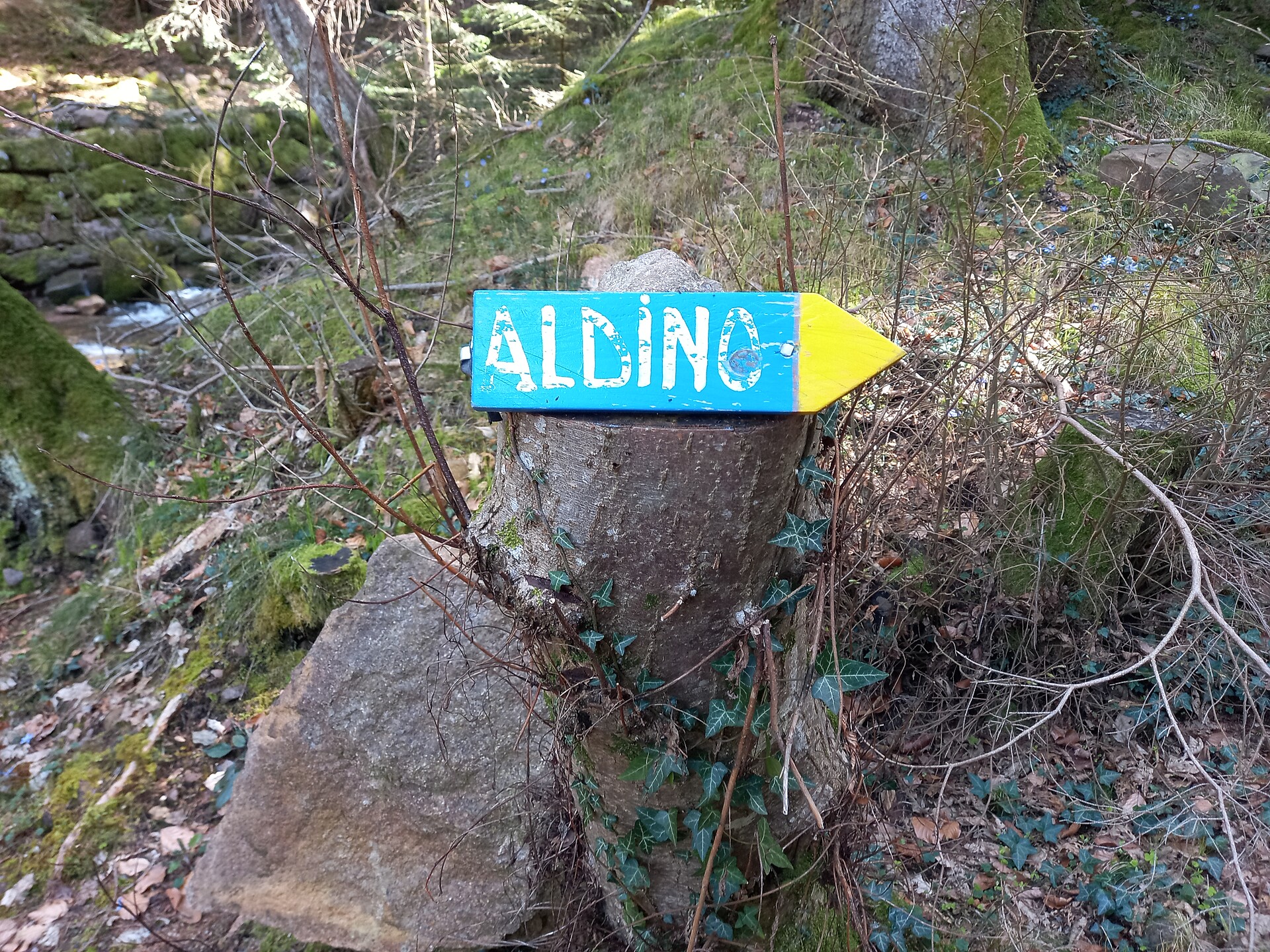 Wegweiser