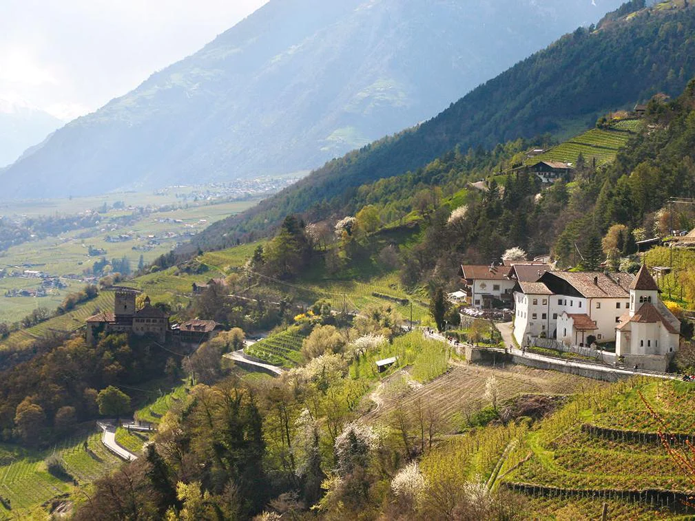 Algunder Burgweg - Schloss Tirol Algund 3 suedtirol.info