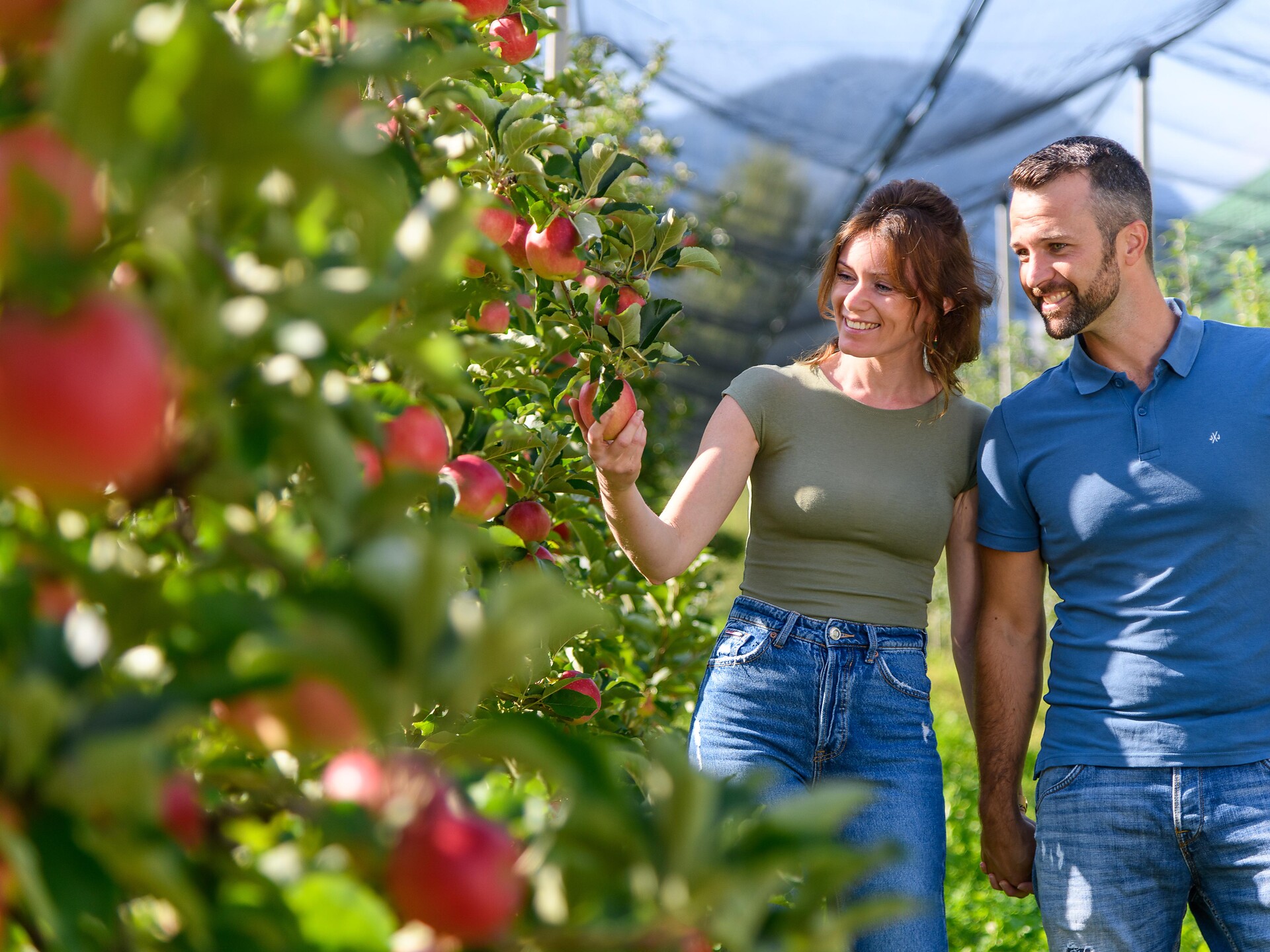 Sentiero delle mele Cortaccia - Termeno - Strada del Vino - #1 - suedtirol.info