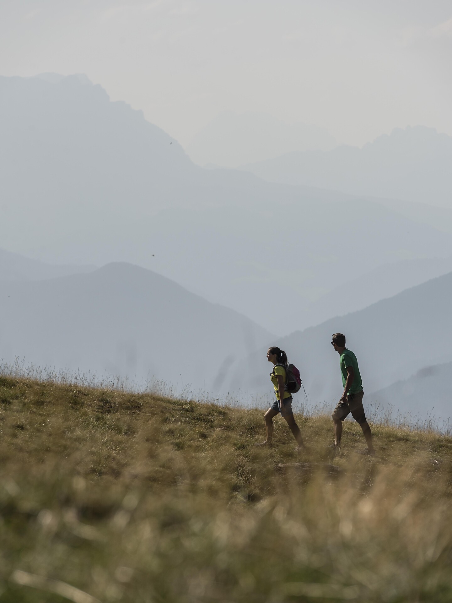 Am Joch: Panoramawanderung in Terenten - Brixen und Umgebung - #1 - suedtirol.info