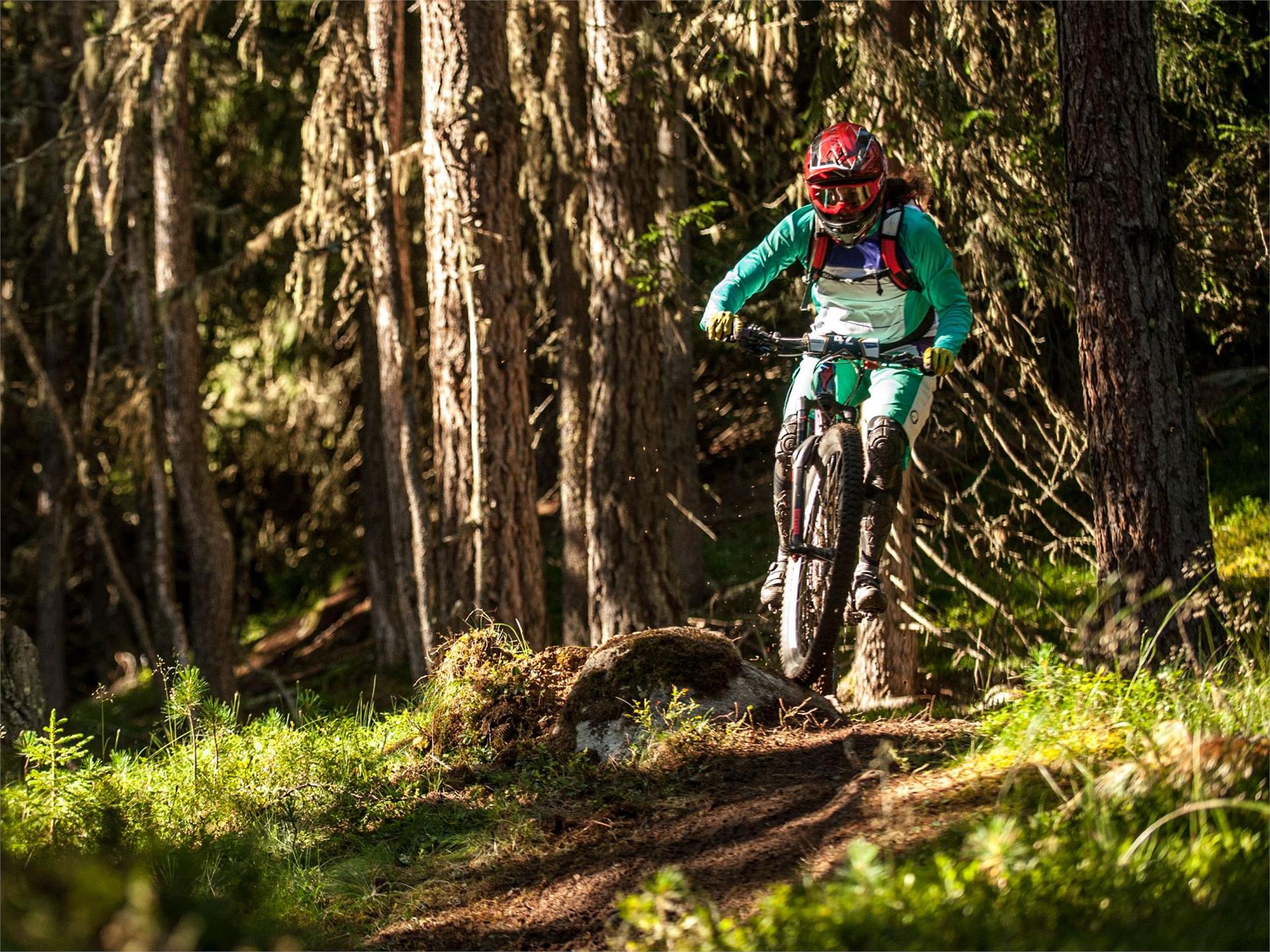 Almtrail Graun im Vinschgau 1 suedtirol.info