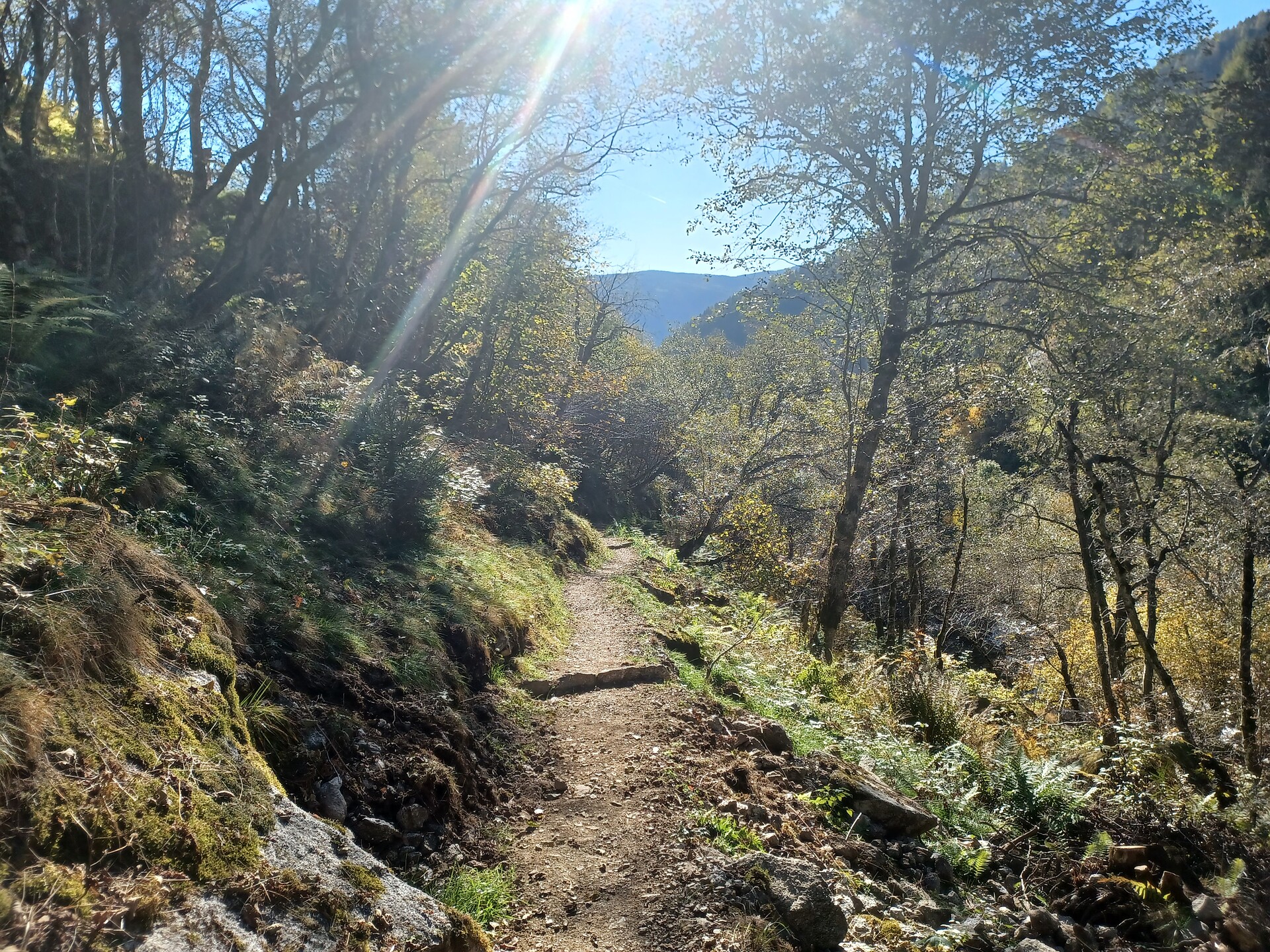 On the Merano High Mountain Trail to the Alpine hiking trail Waterfall