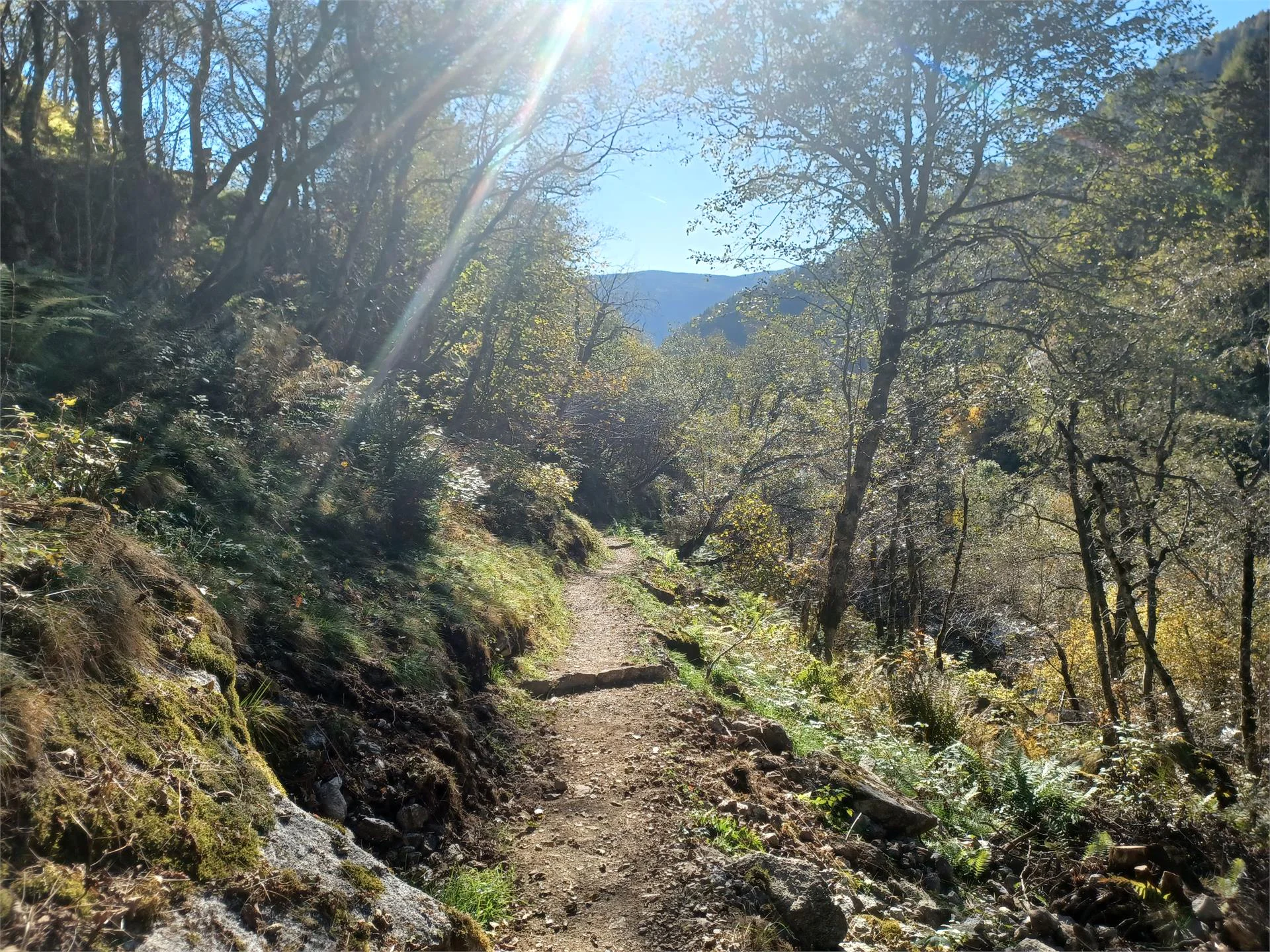 Auf dem Meraner Höhenweg zum Alpinsteig Wasserfall Partschins 8 suedtirol.info