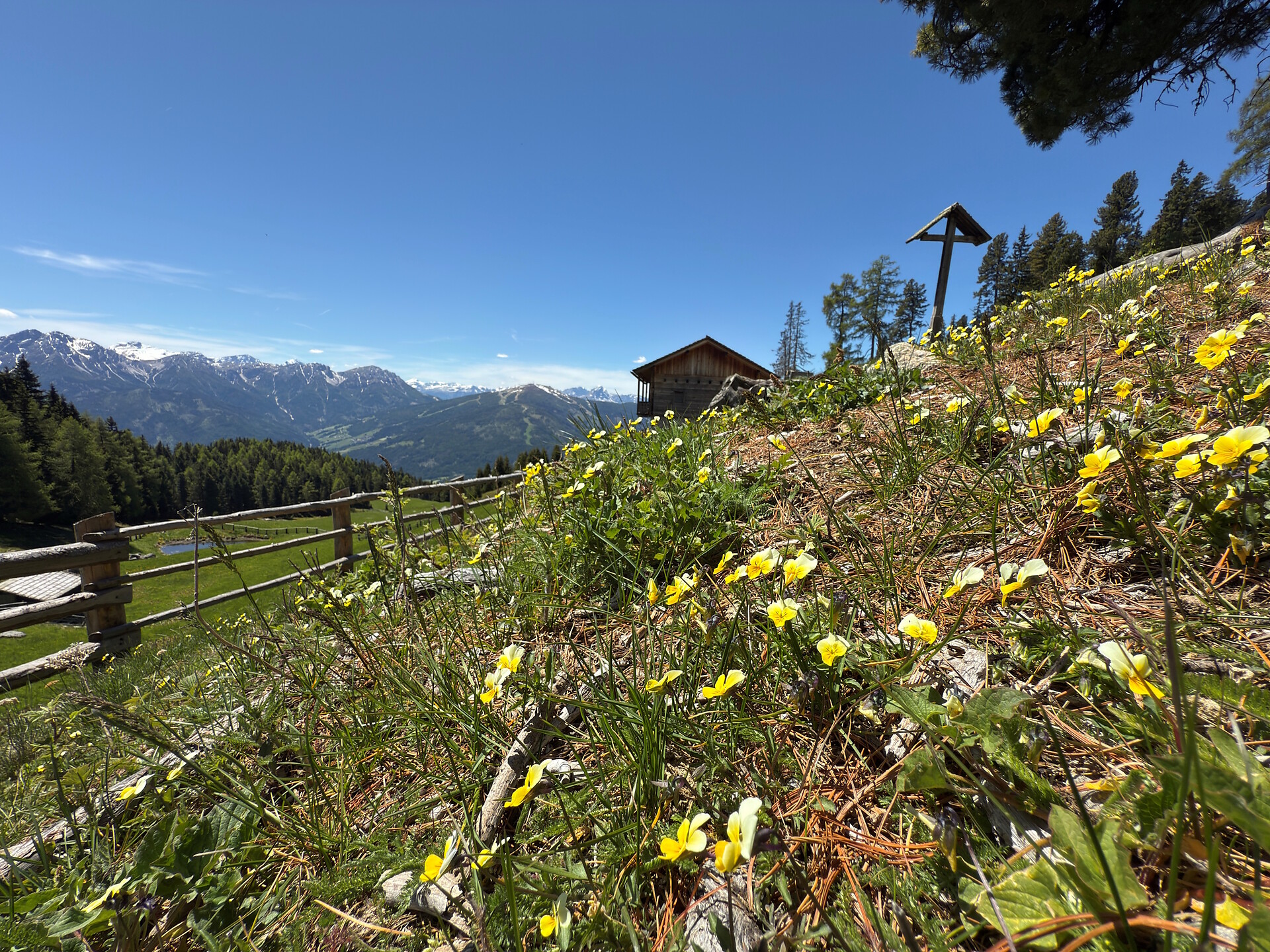 Almwanderung zur Aschbach- und Redensberger Alm - Dolomitenregion Kronplatz - #4 - suedtirol.info