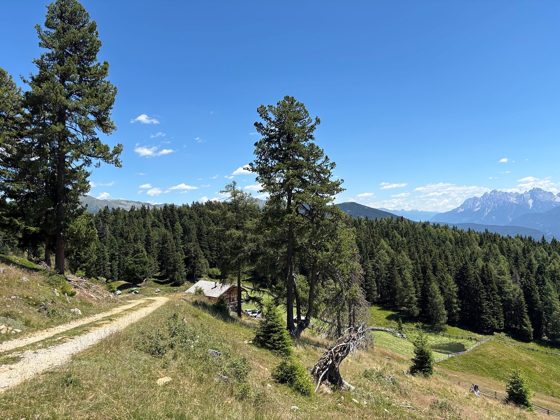 Almwanderung zur Aschbach- und Redensberger Alm - Dolomitenregion Kronplatz - #8 - suedtirol.info