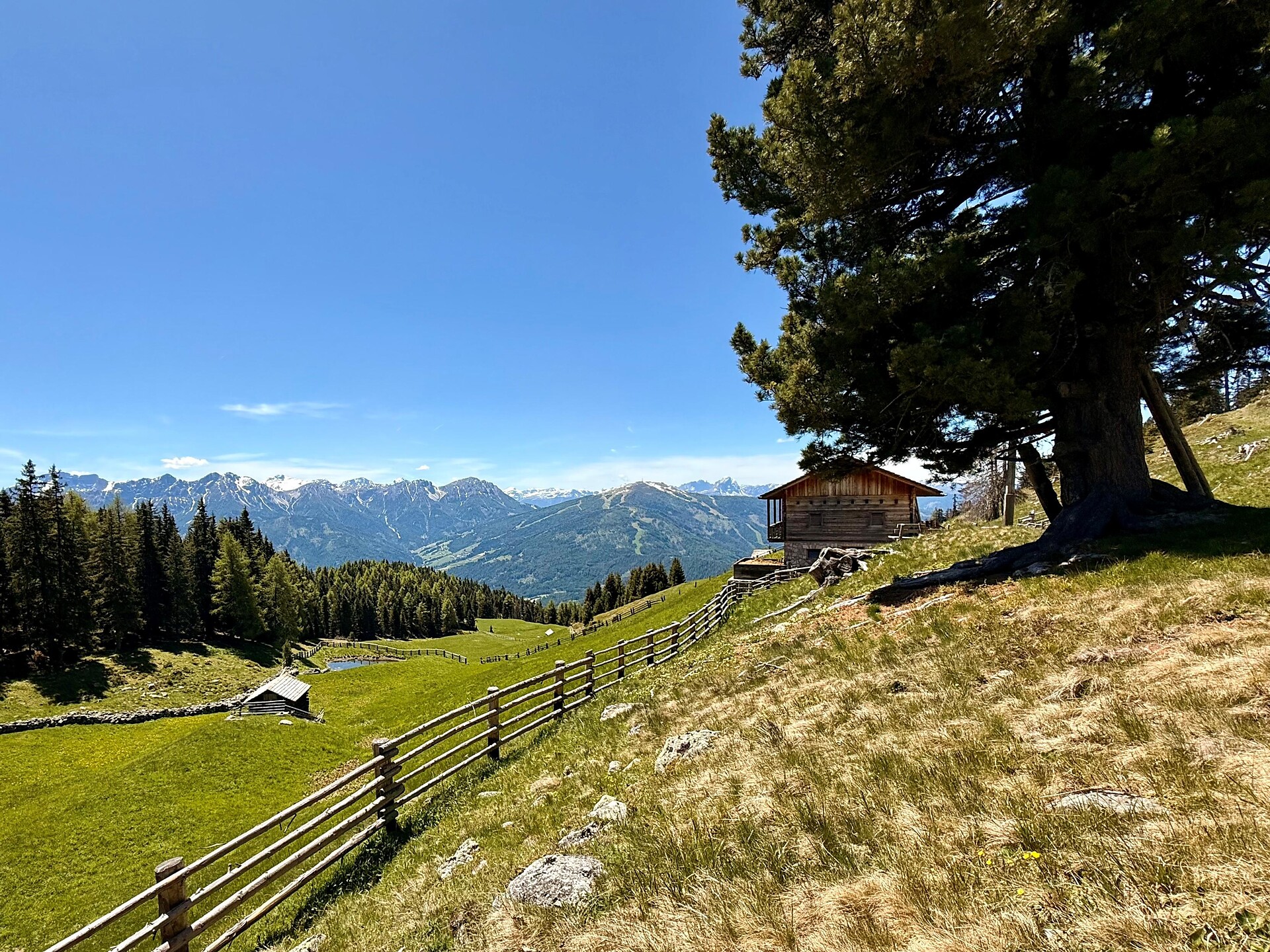 Almwanderung zur Aschbach- und Redensberger Alm - Dolomitenregion Kronplatz - #1 - suedtirol.info