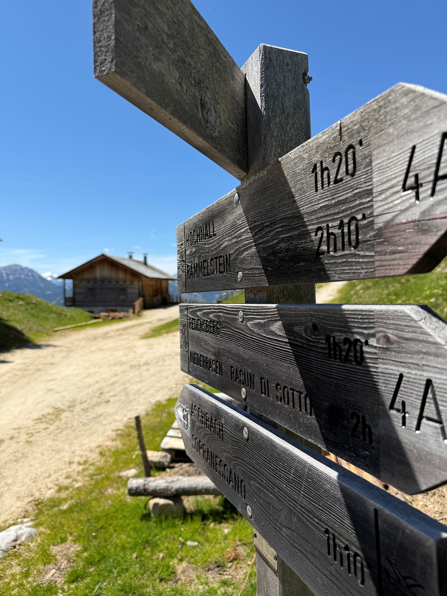 Almwanderung zur Aschbach- und Redensberger Alm - Dolomitenregion Kronplatz - #3 - suedtirol.info