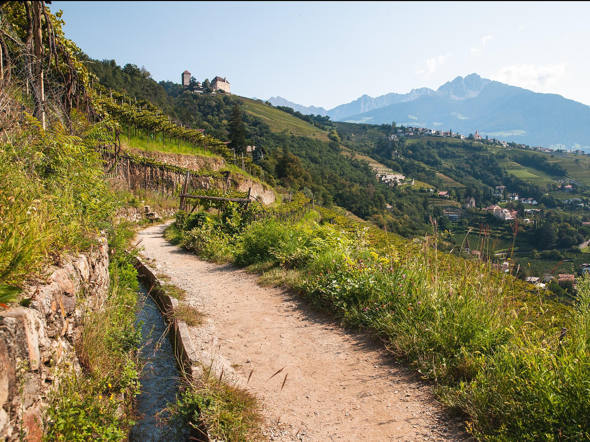 View from the Algunder Waalweg path to Dorf Tirol