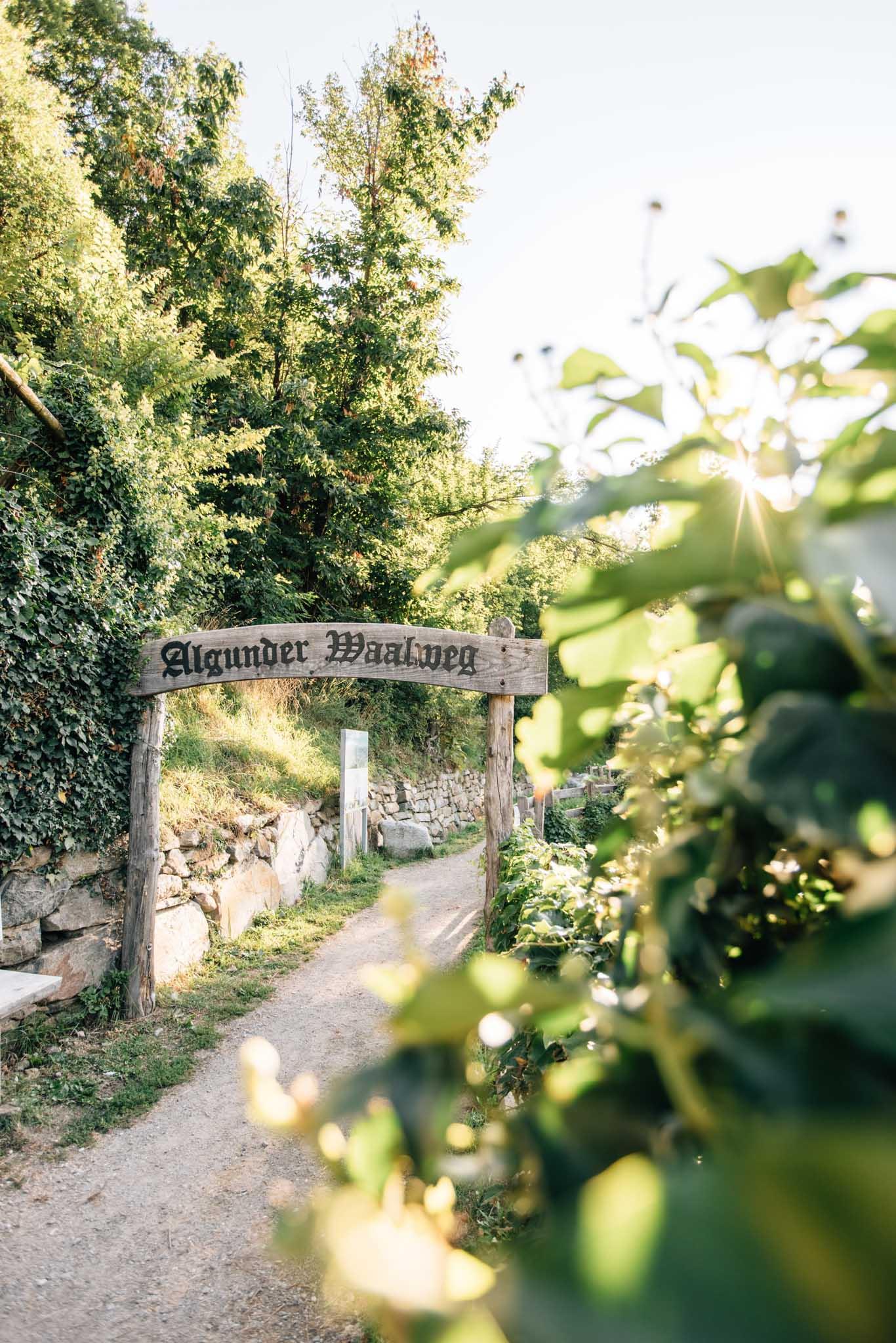 Algunder Waalweg Algund 1 suedtirol.info