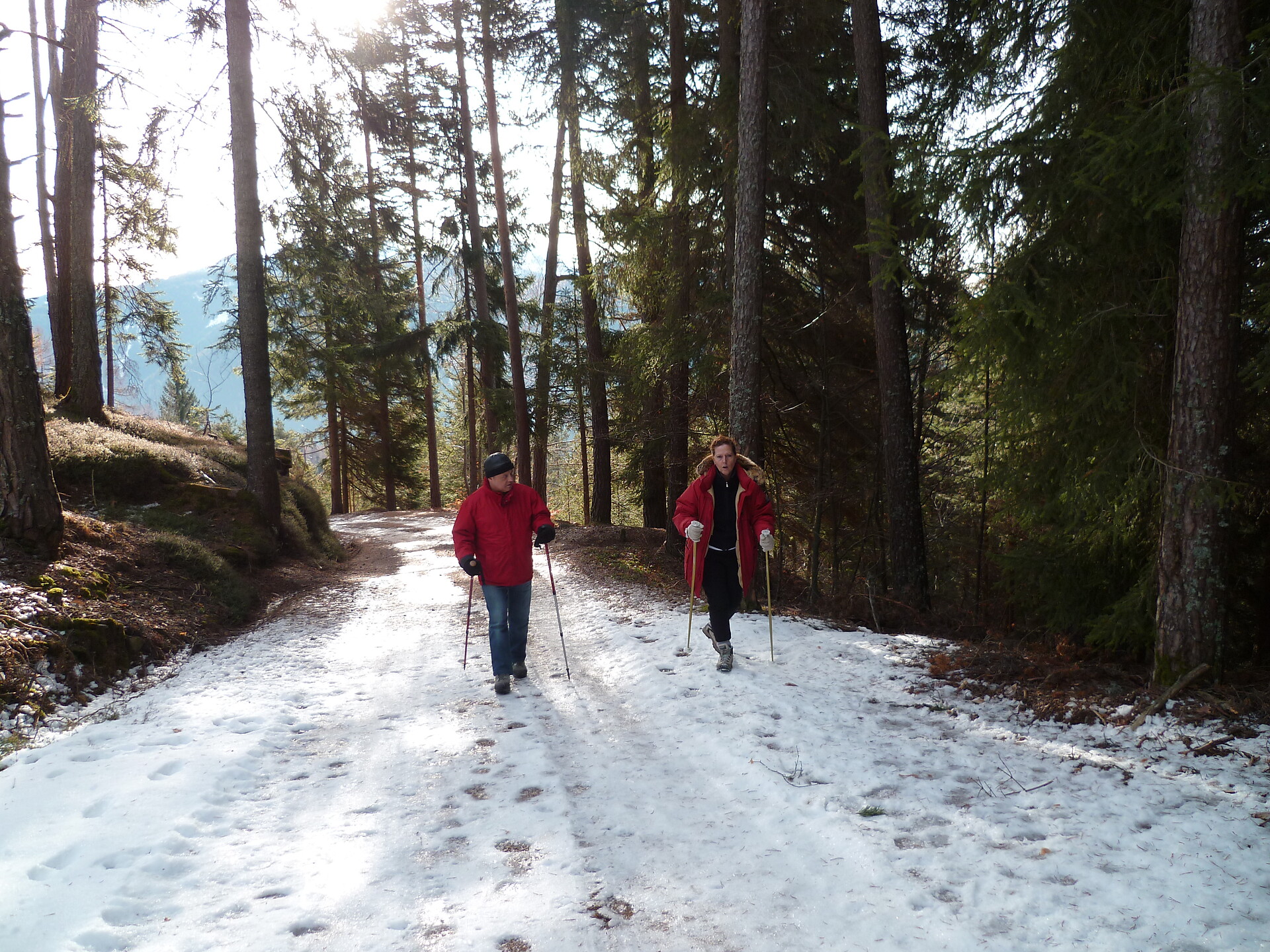 Trail to the hut Krabes