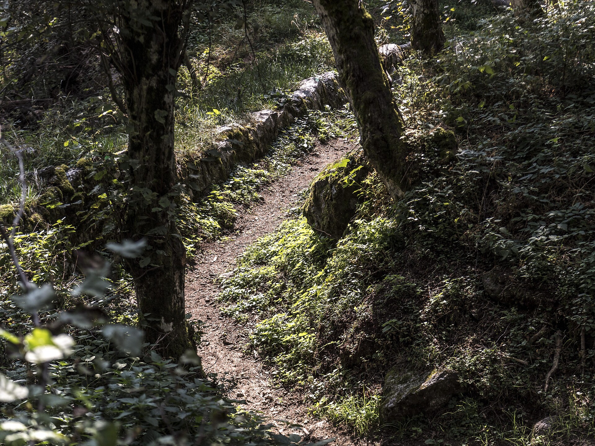 Alpine hiking trail Parcines Waterfall